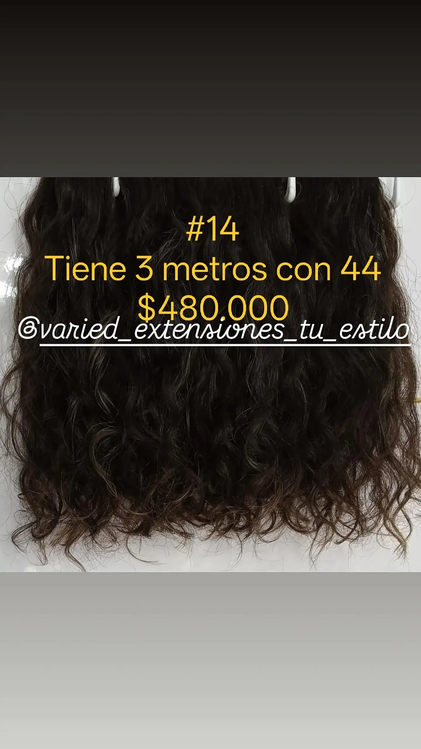 Extensión #14 1