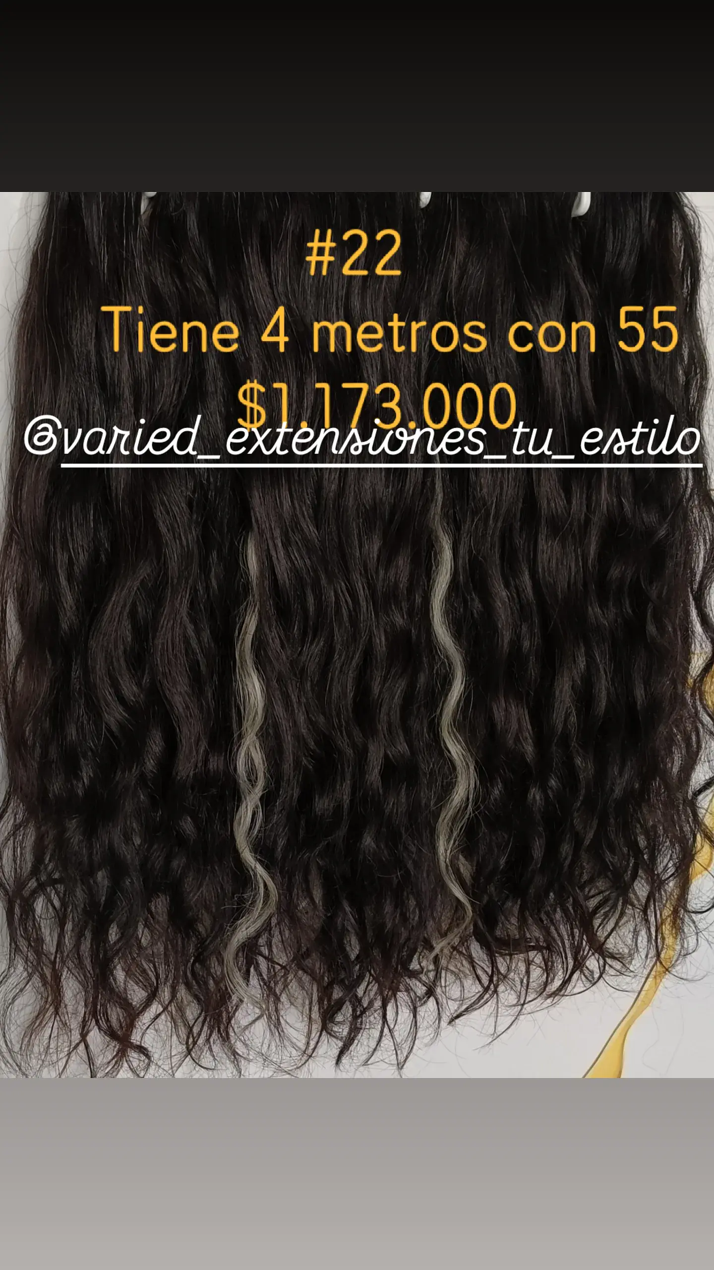 Extensión #22 1