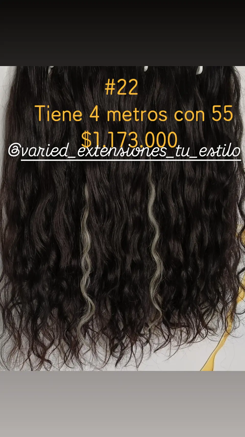 Extensión #22 1