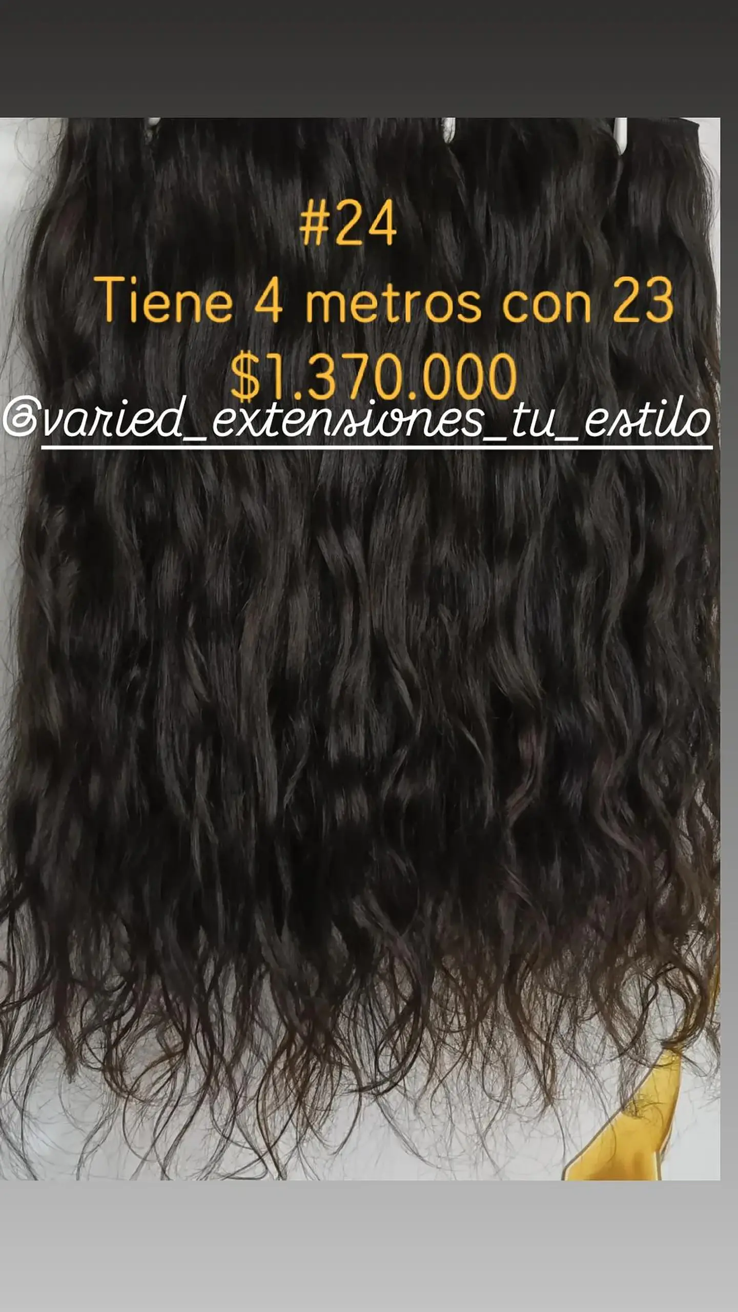 Extensión #24 1