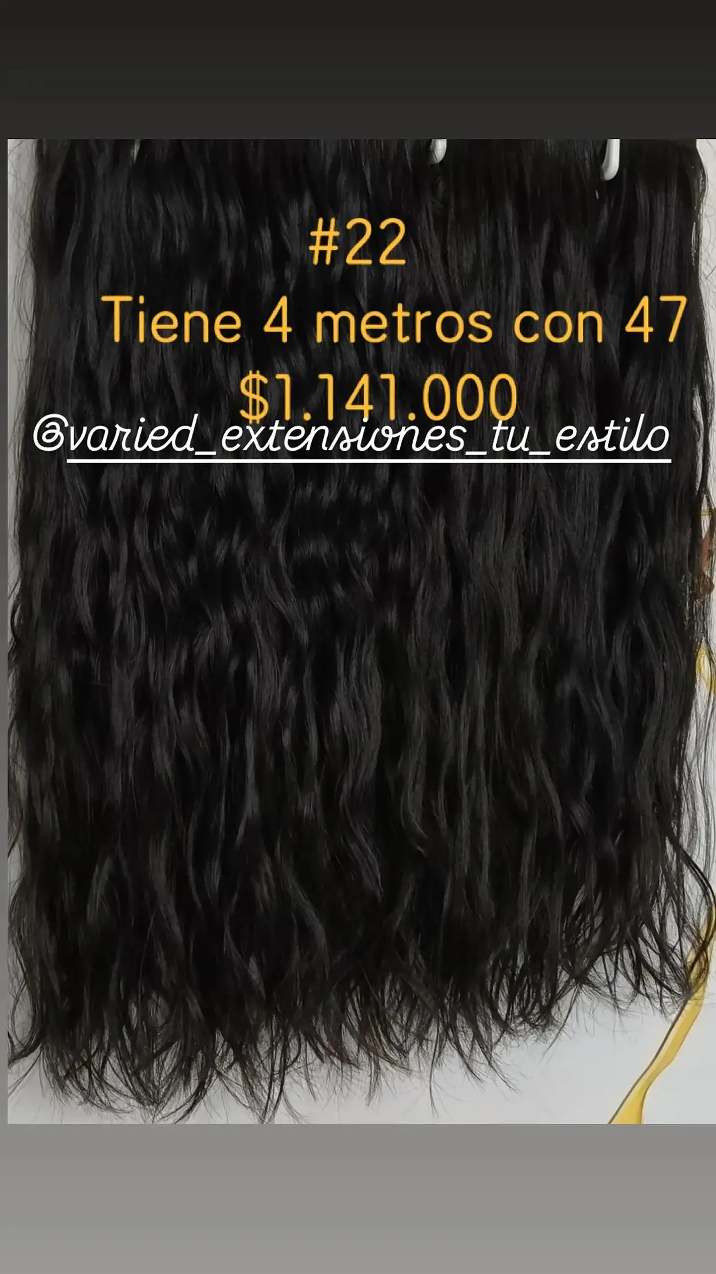Extensión #22 1