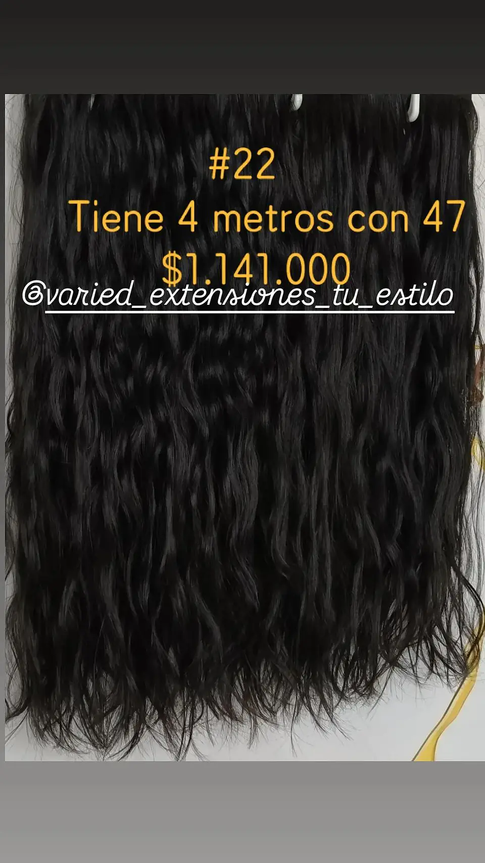 Extensión #22 1