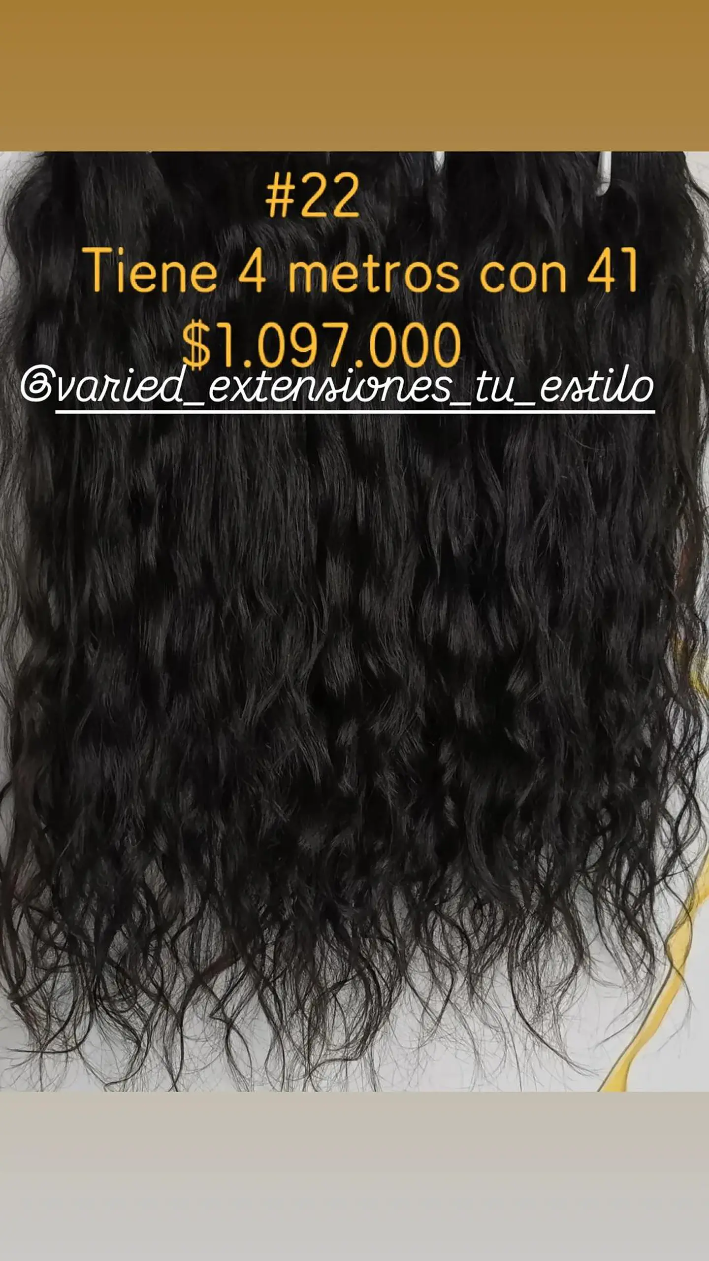 Extensión #22 1