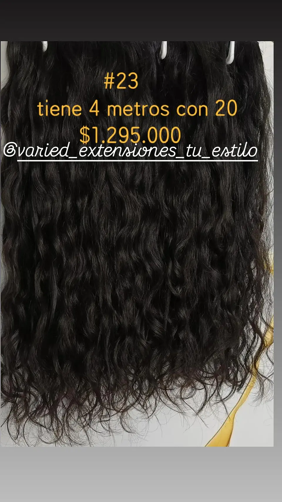 Extensión #23 1