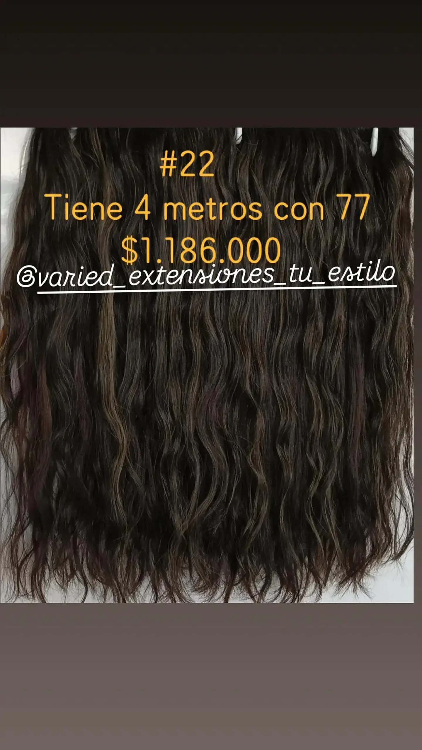 Extensión #22 1