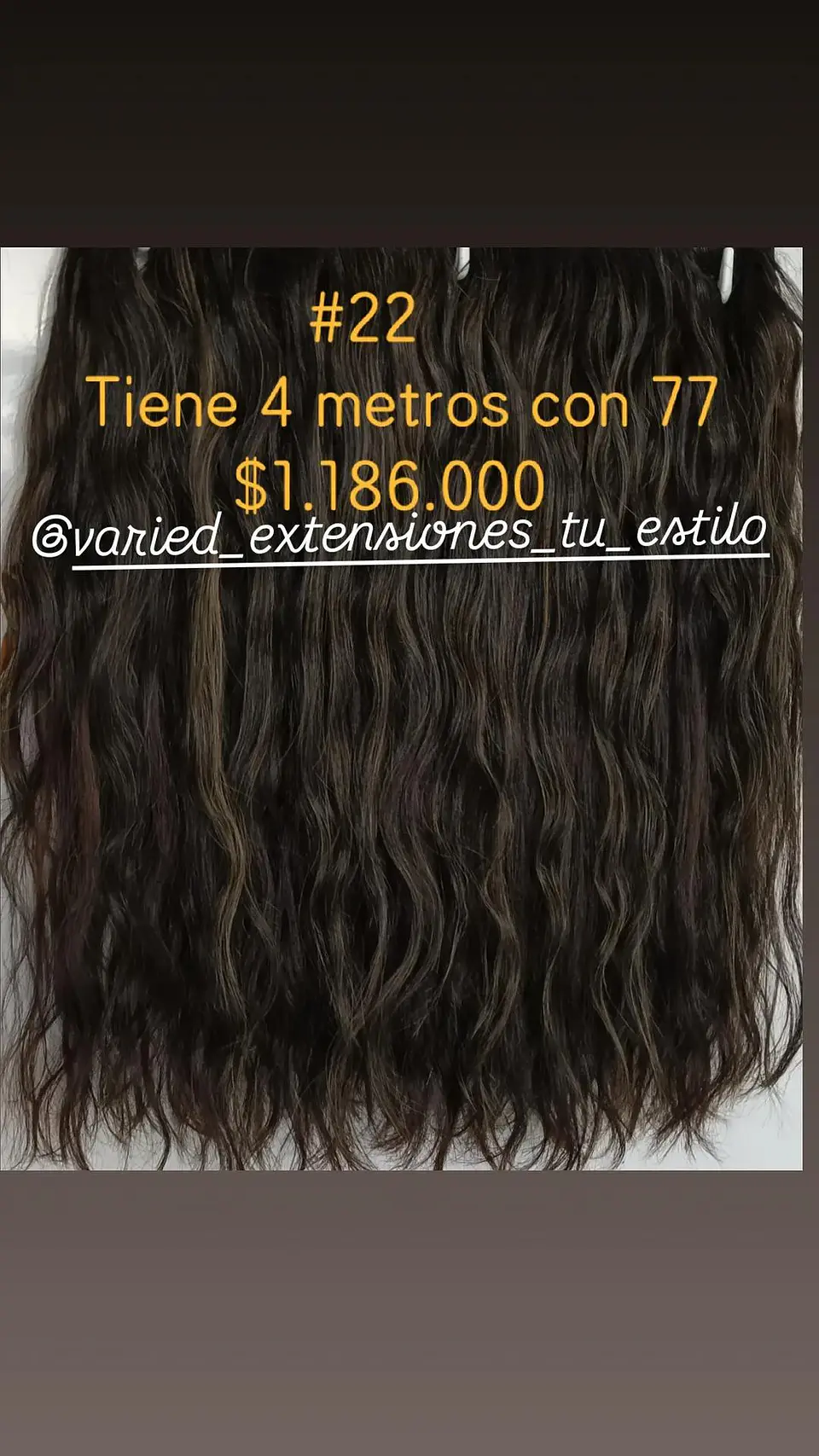Extensión #22 1