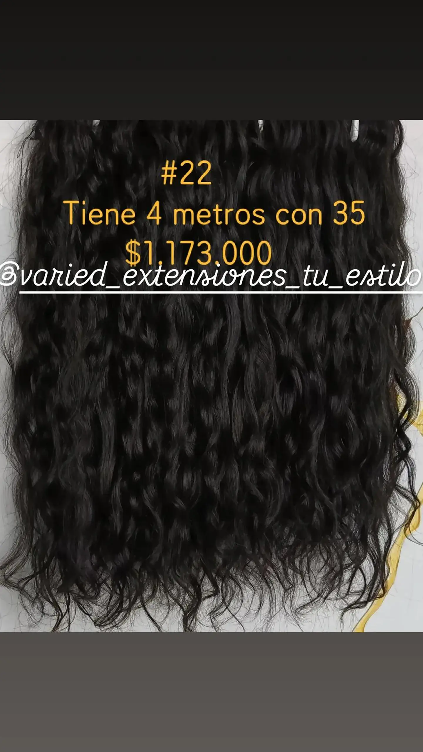Extensión #22 1