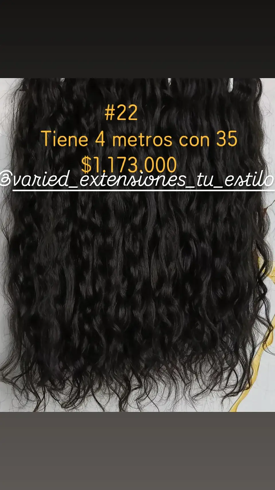 Extensión #22 1