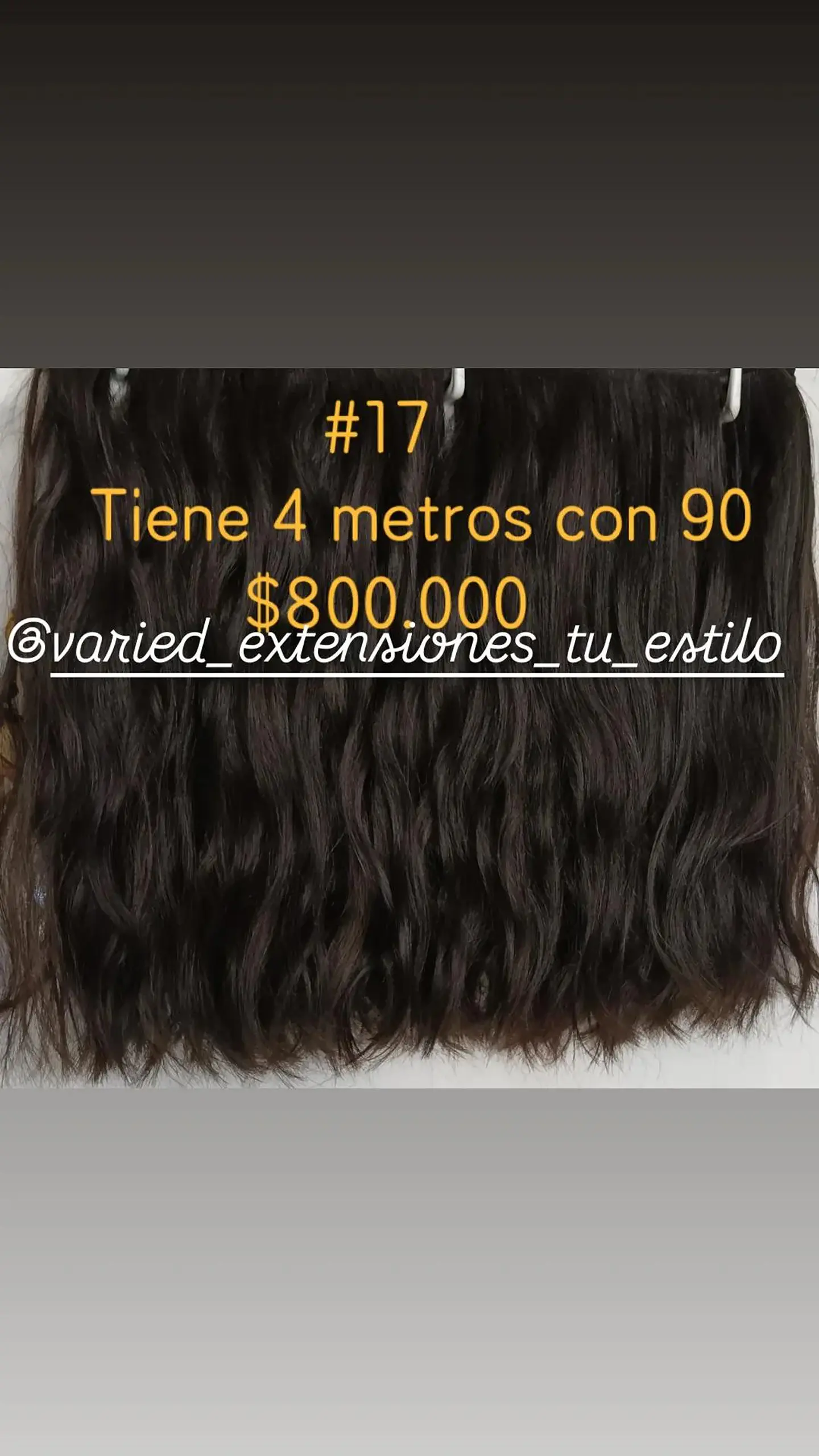 Extensión #17 1