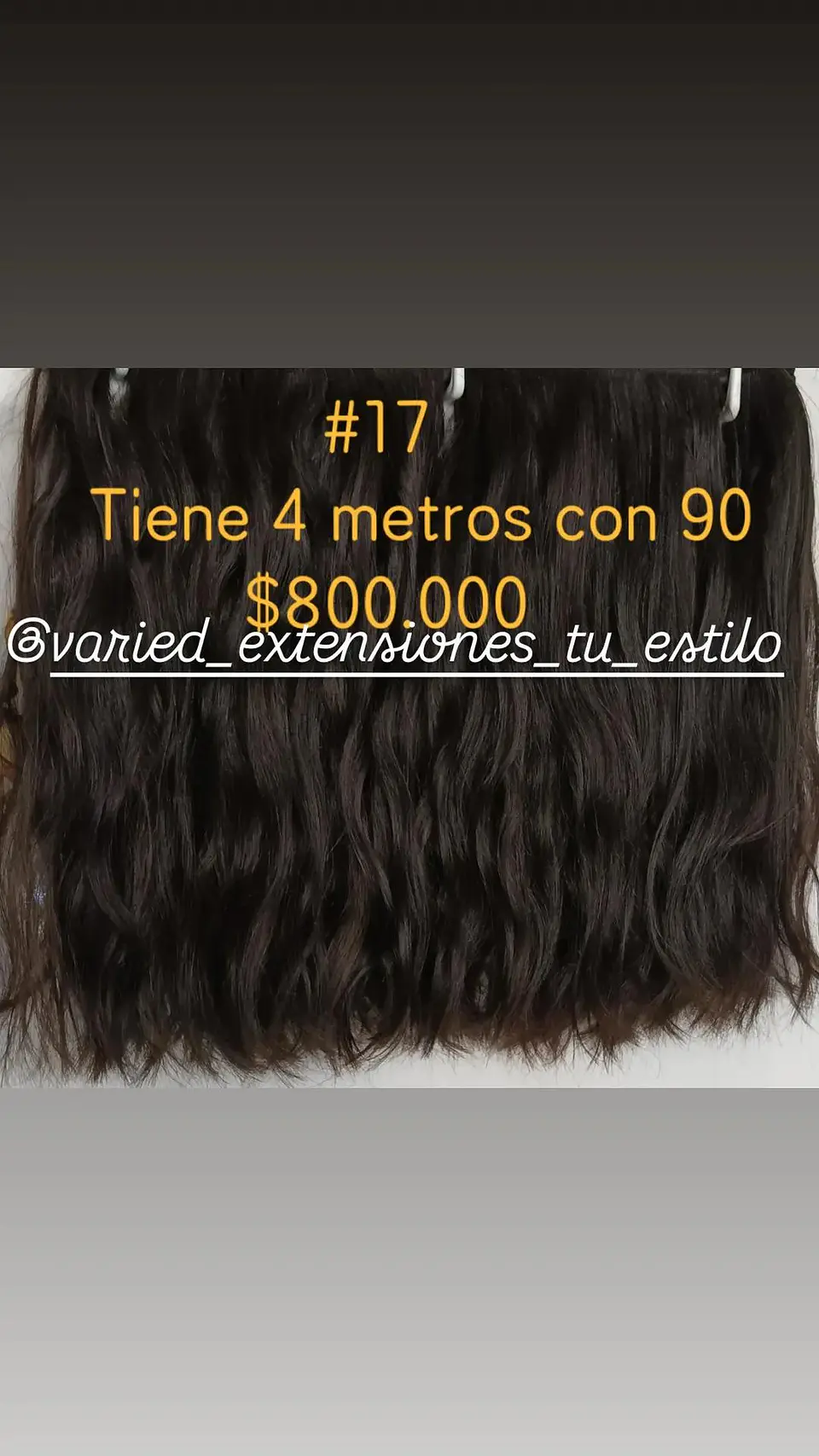 Extensión #17 1