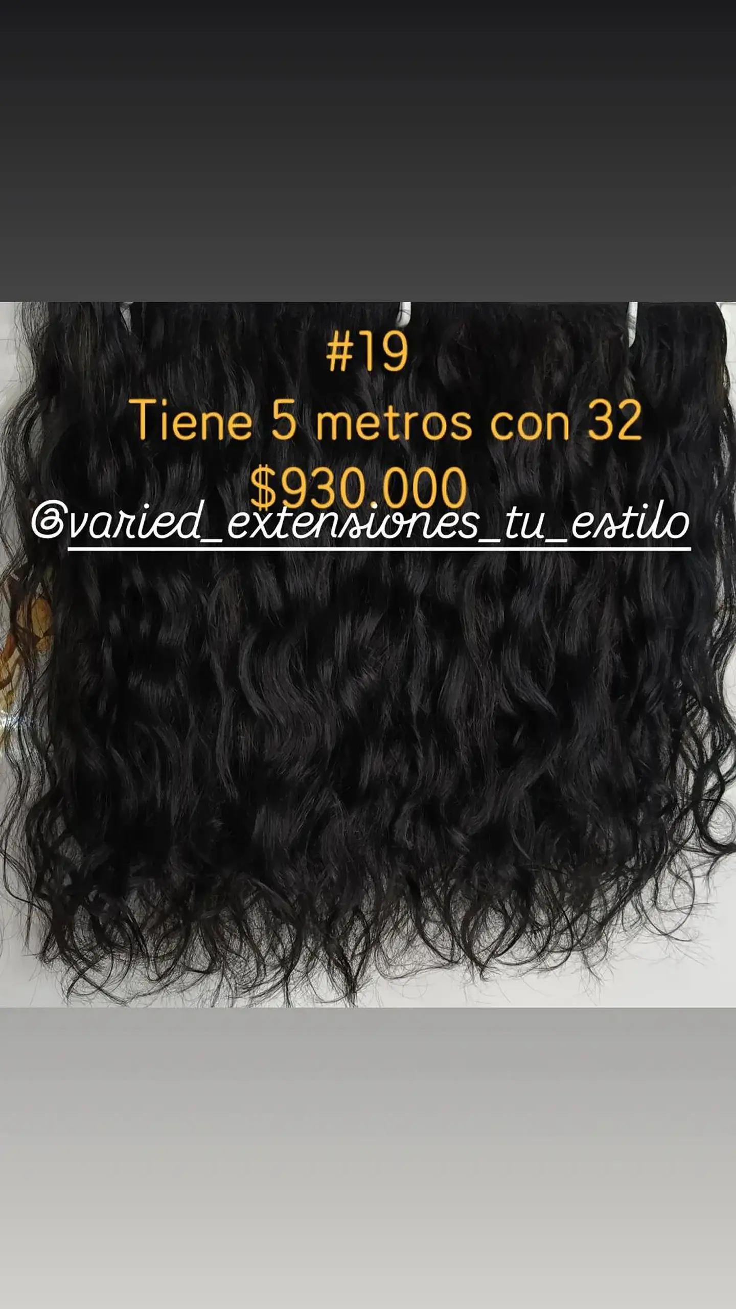 Extensión #19 1