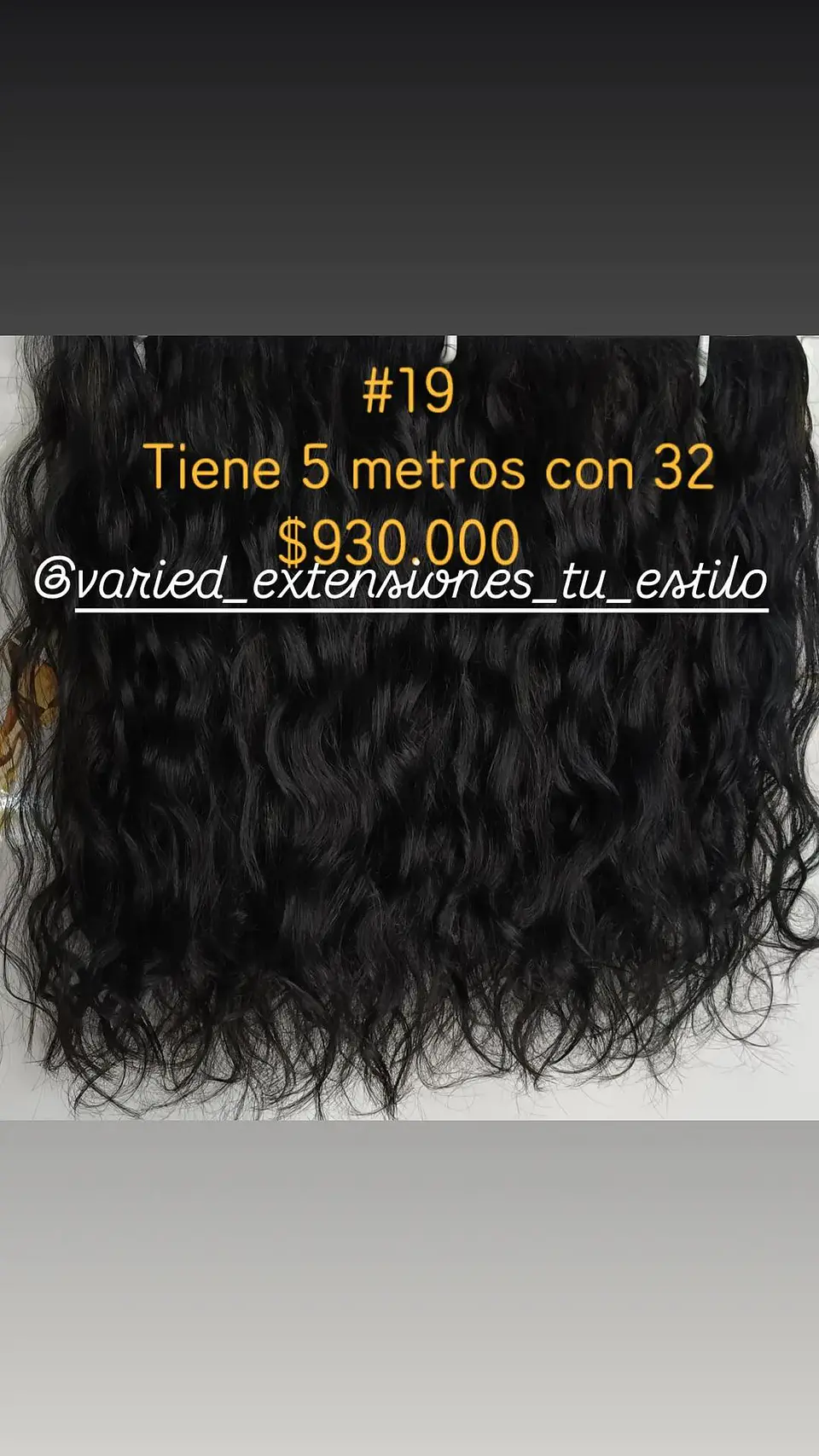 Extensión #19 1