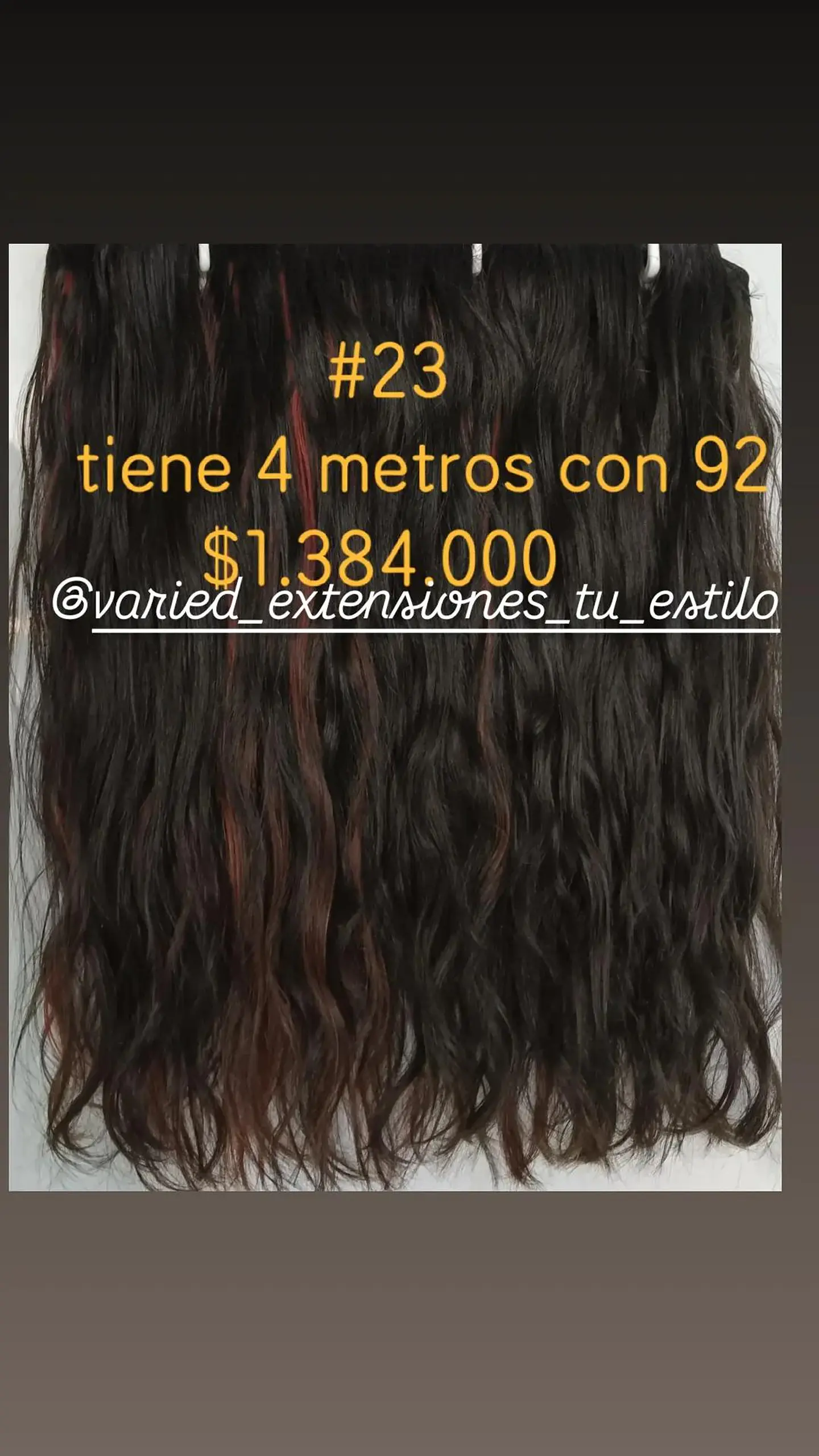 Extensión #23 1