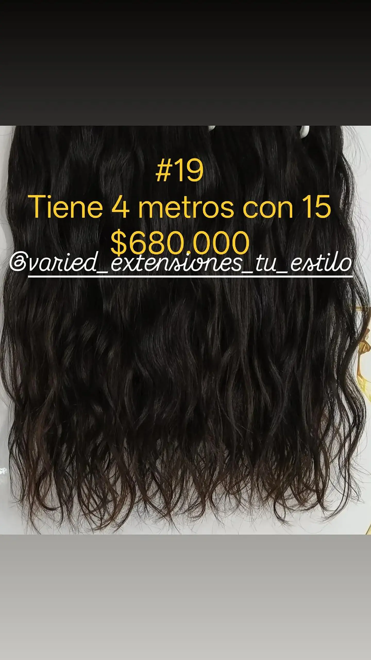 Extensión #19 1