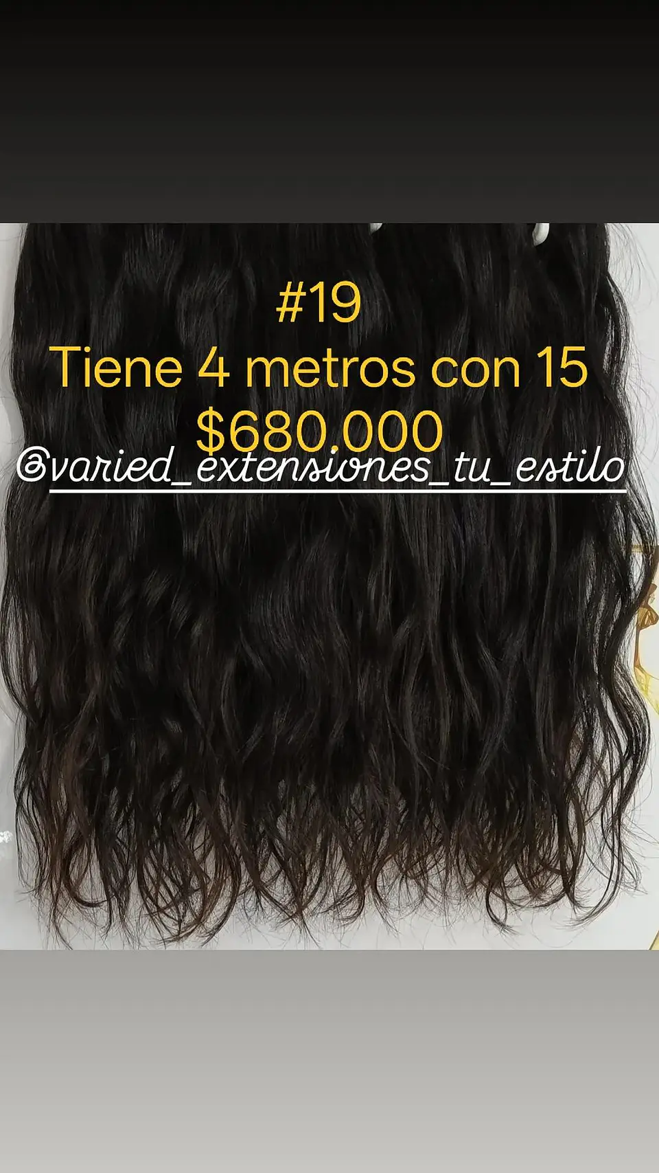 Extensión #19 1