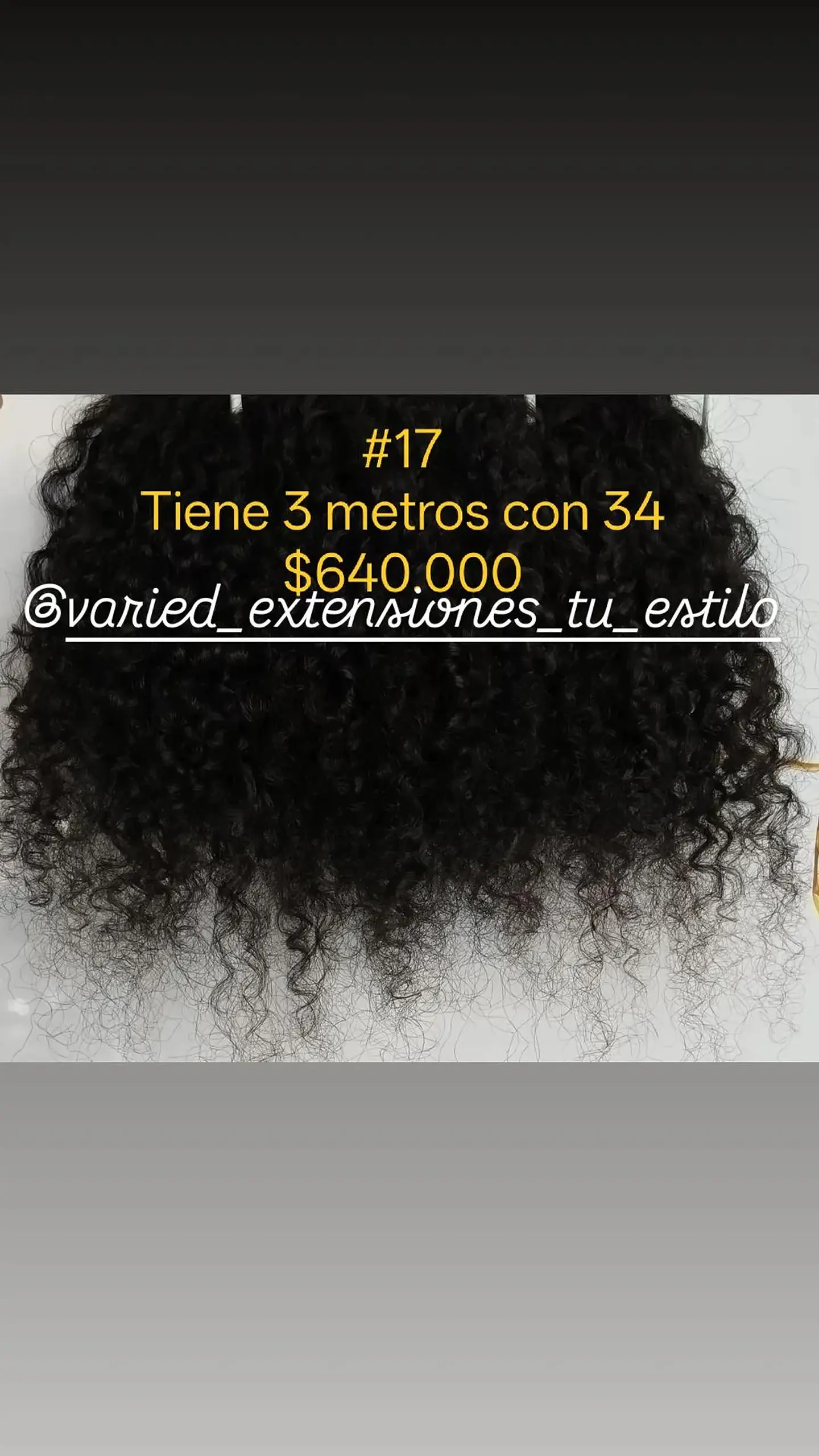 Extensión #17 1