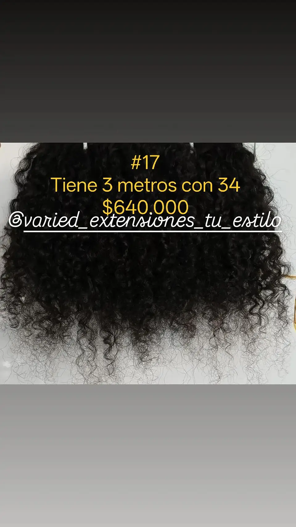 Extensión #17 1
