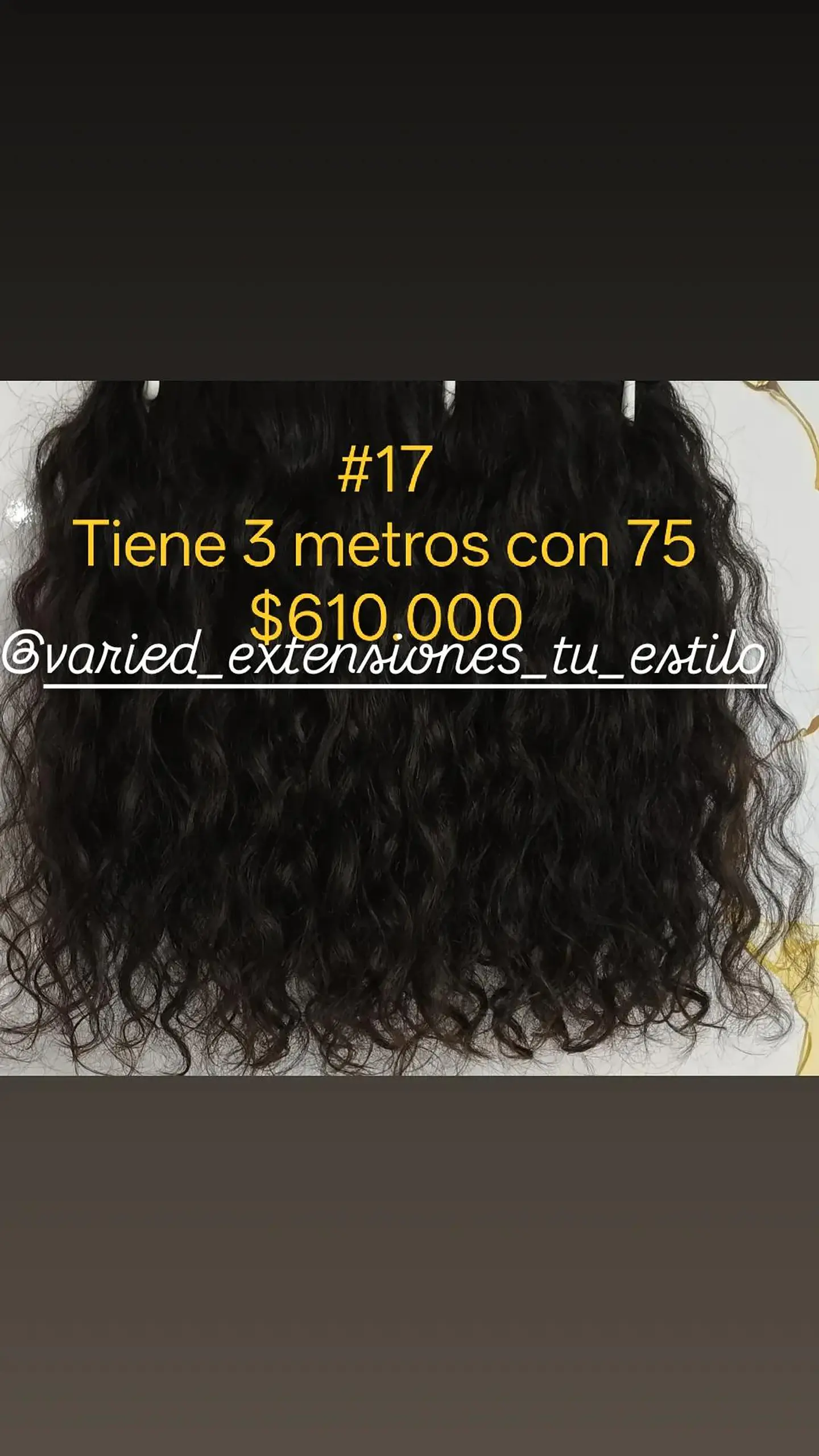 Extensión #17 1