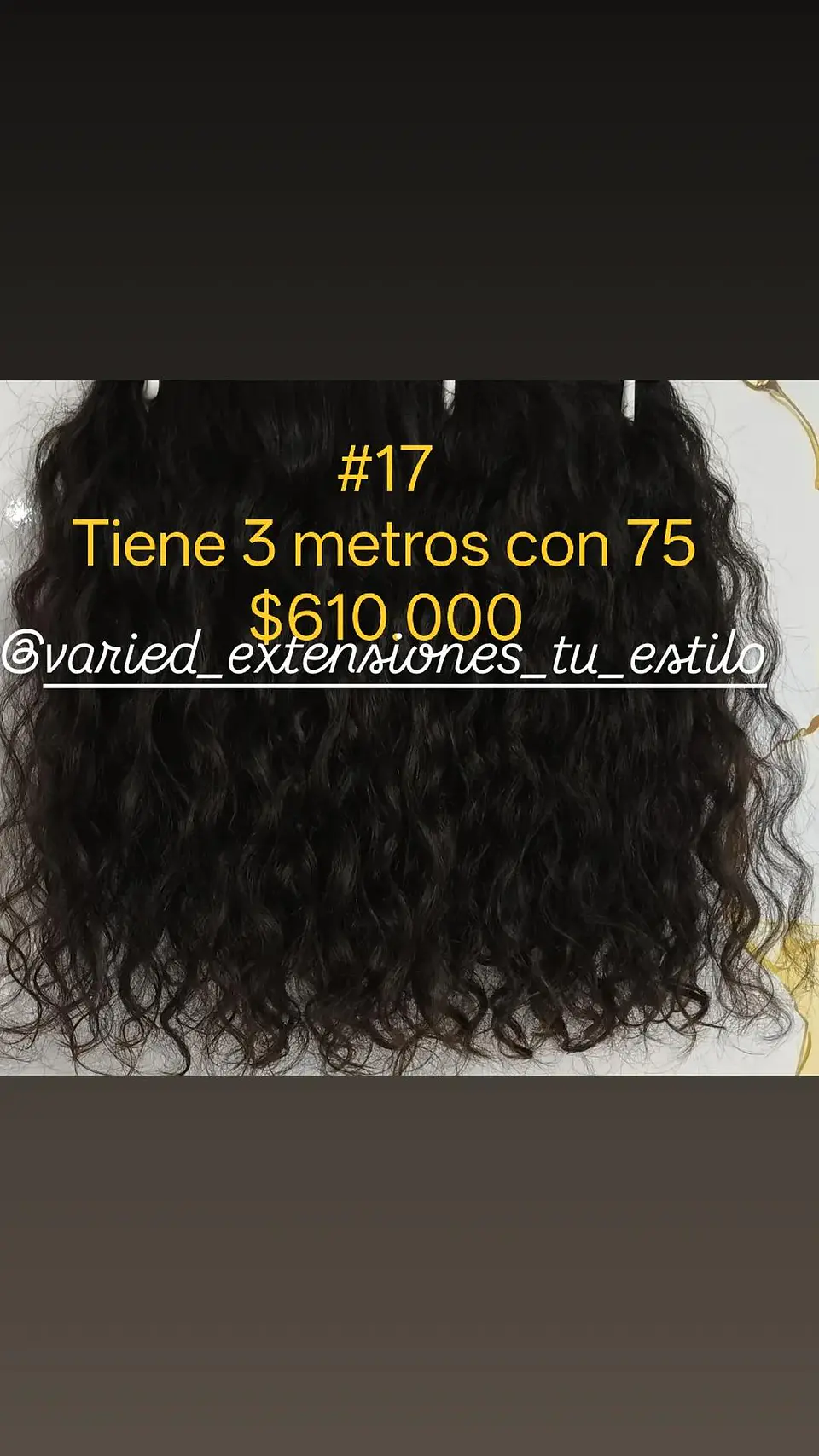Extensión #17 1