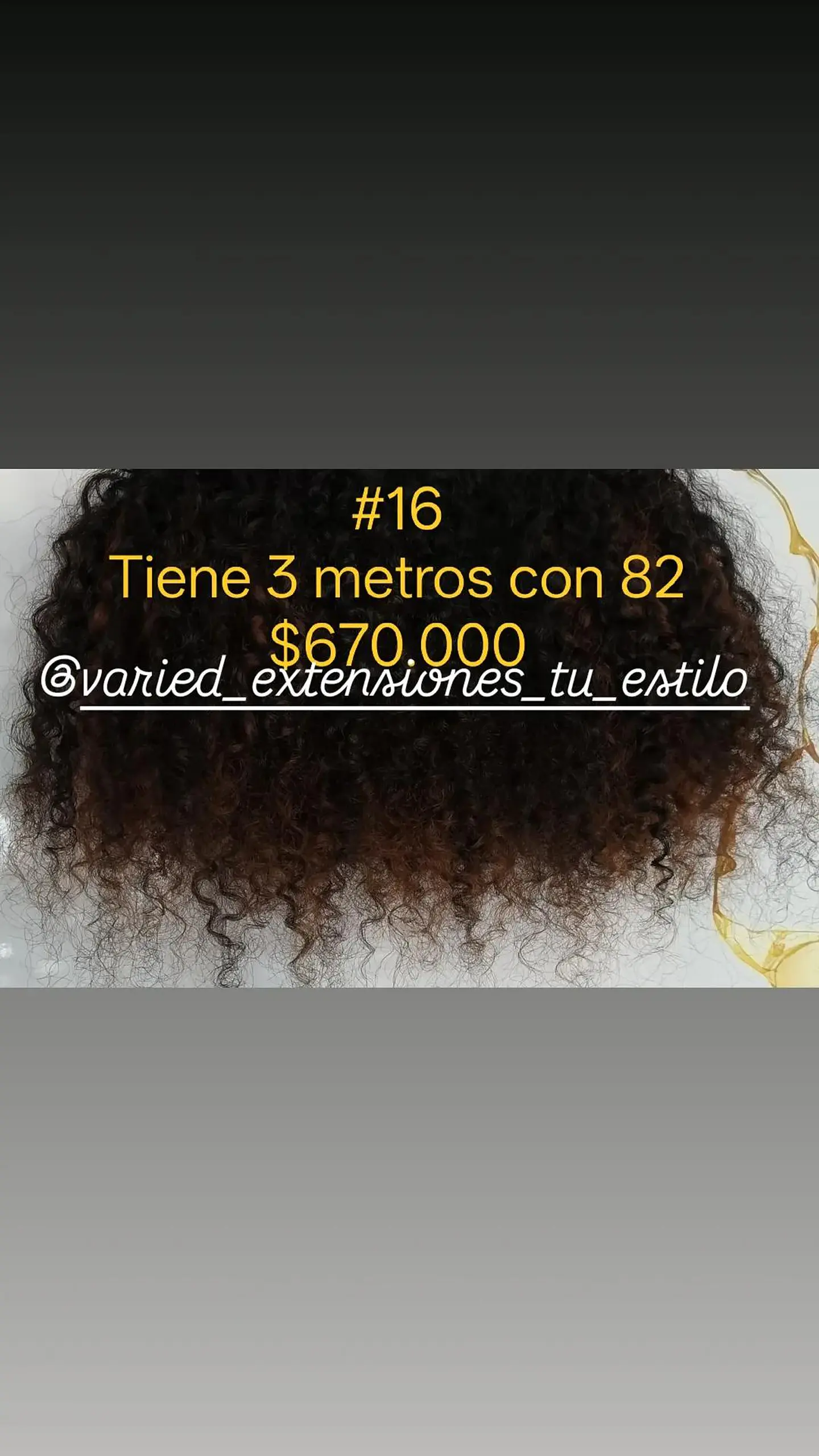 Extensión #16 1
