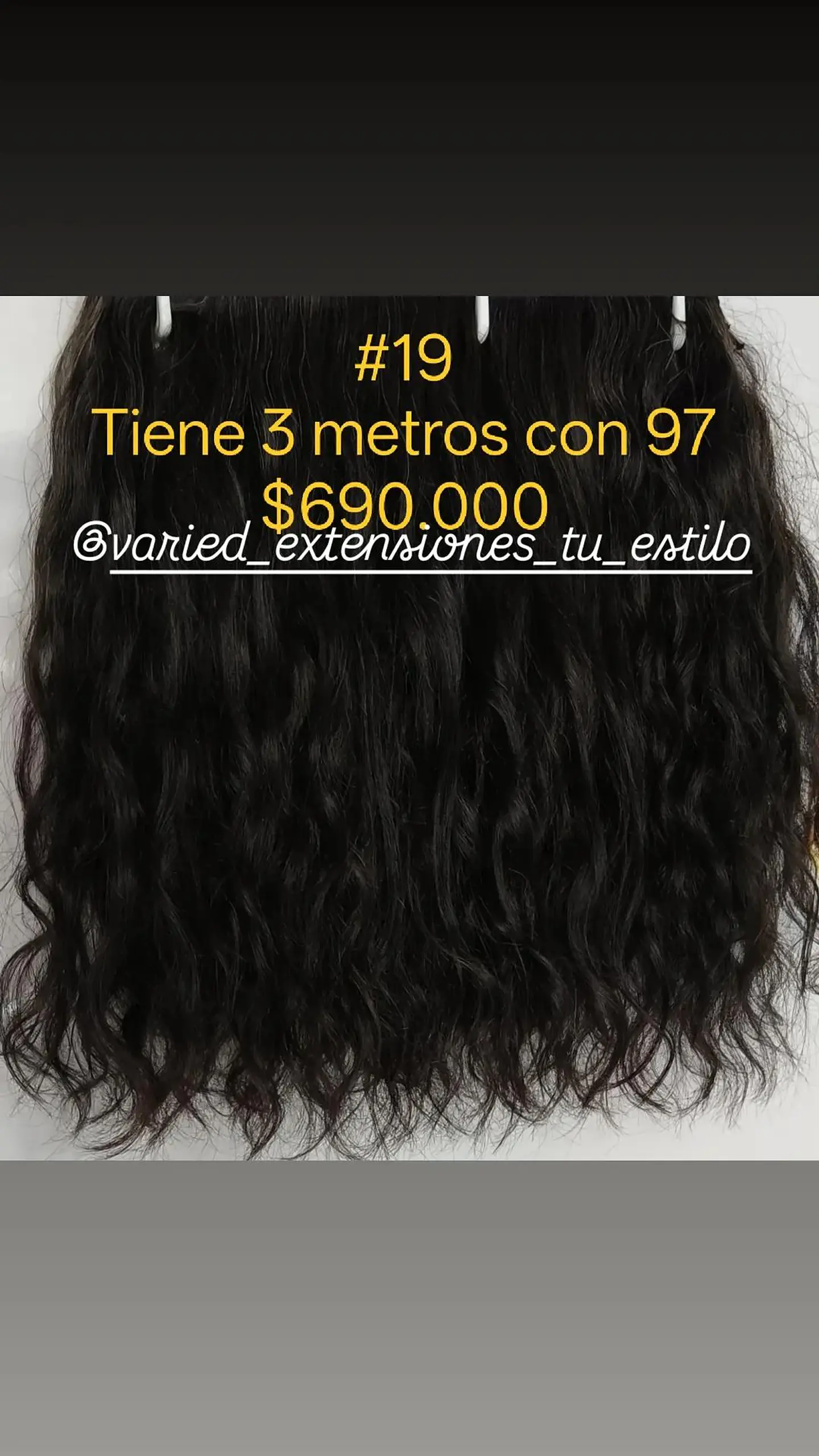 Extensión #19 1