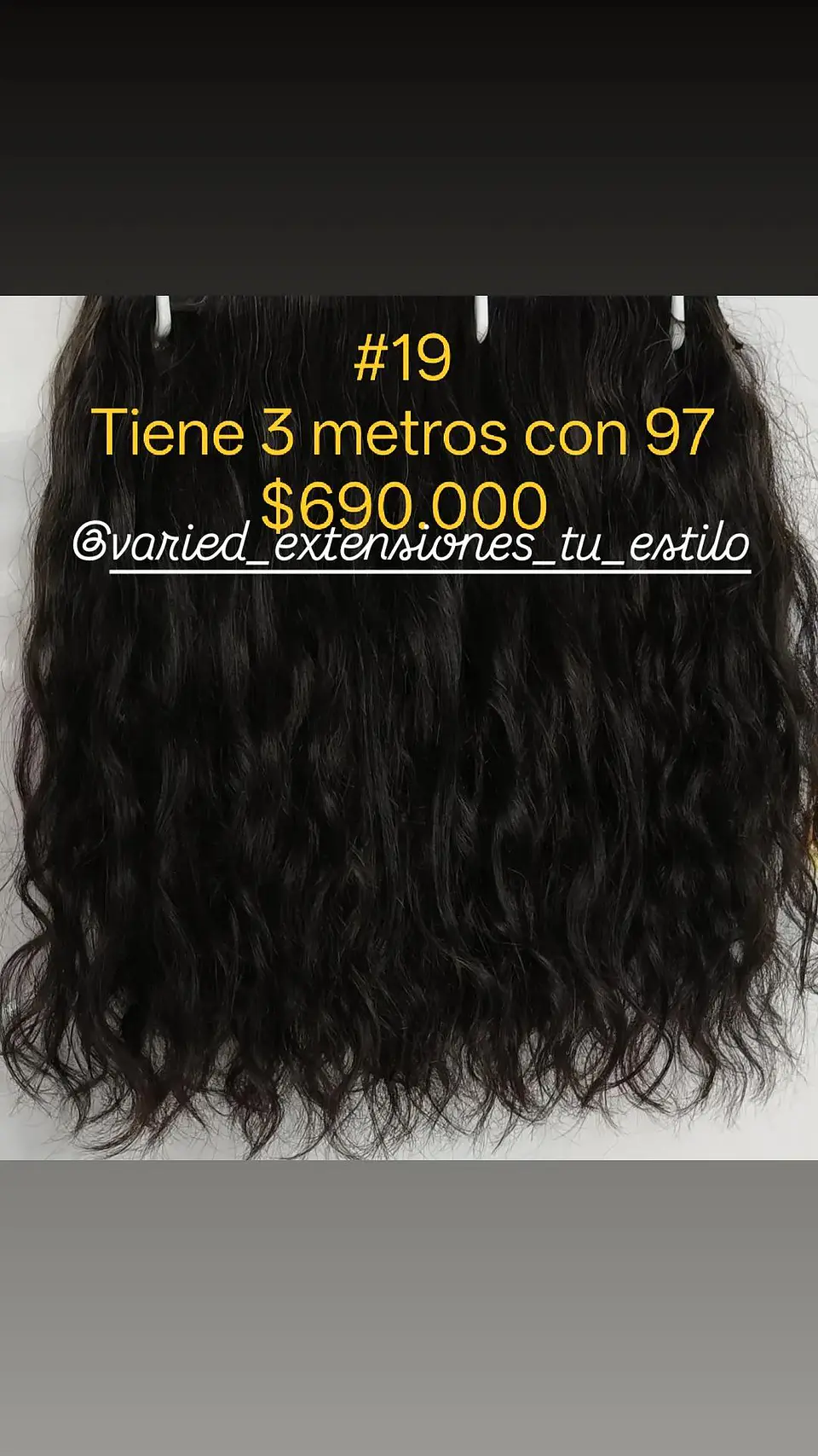 Extensión #19 1