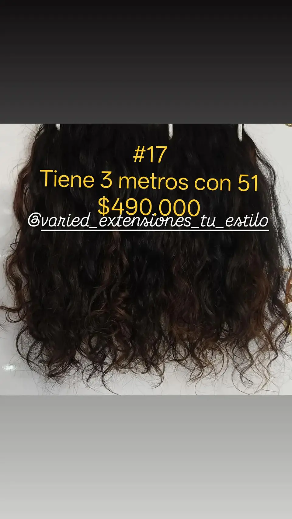 Extensión #17 1