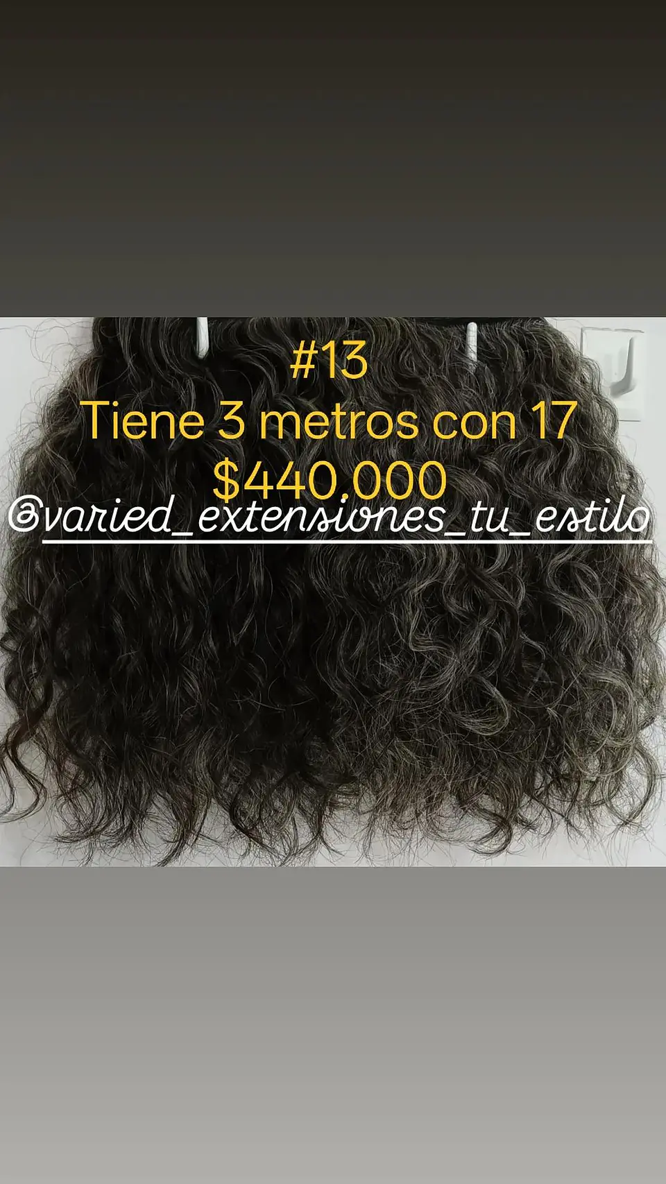 Extensión #13 1