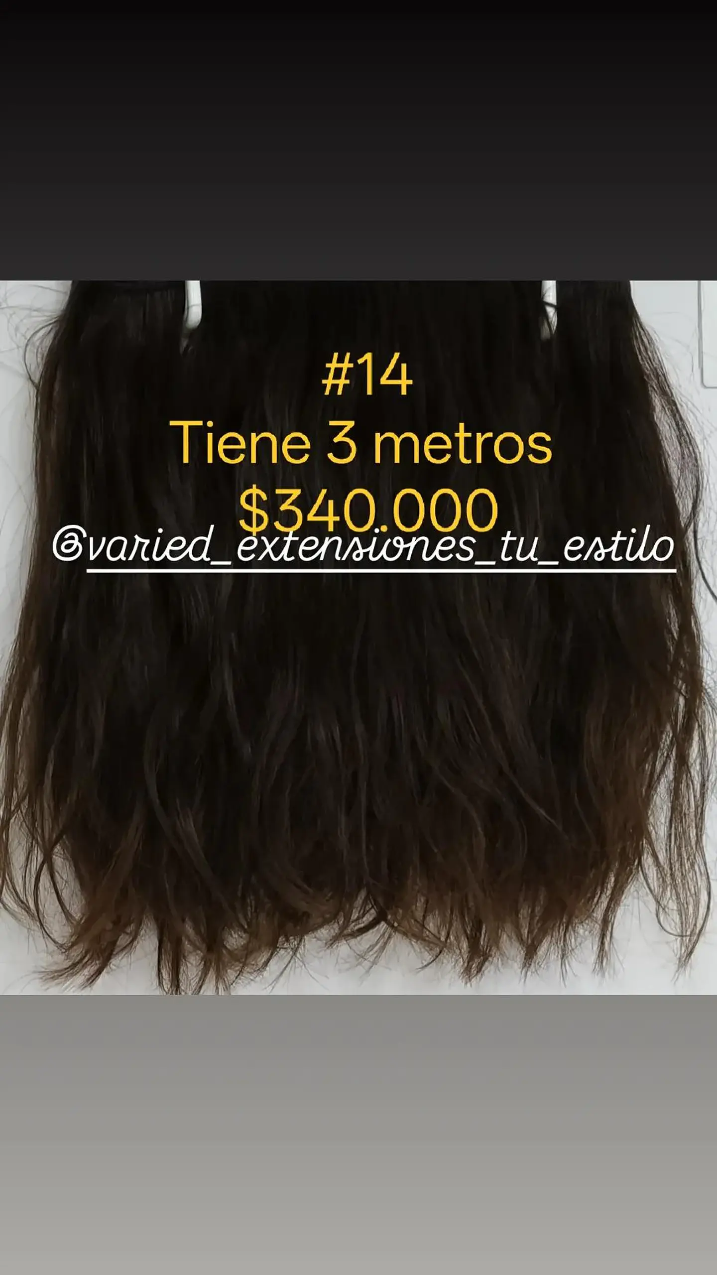 Extensión #14 1