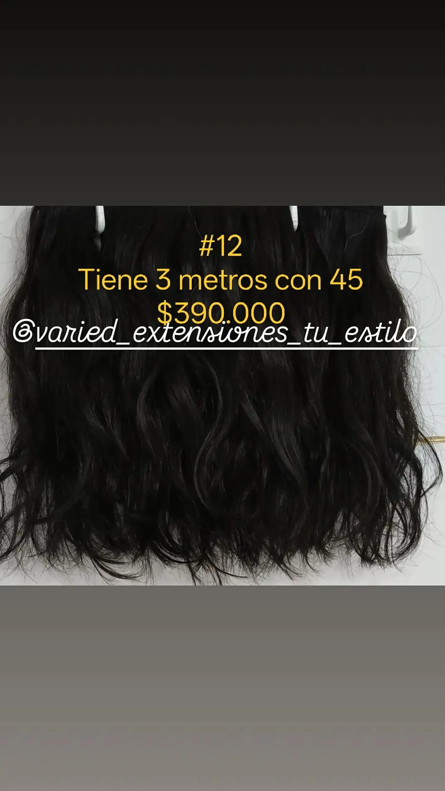 Extensión #12 1