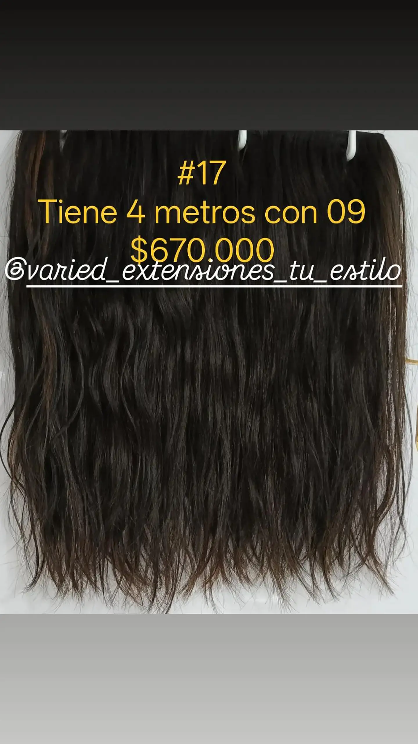 Extensión #17 1