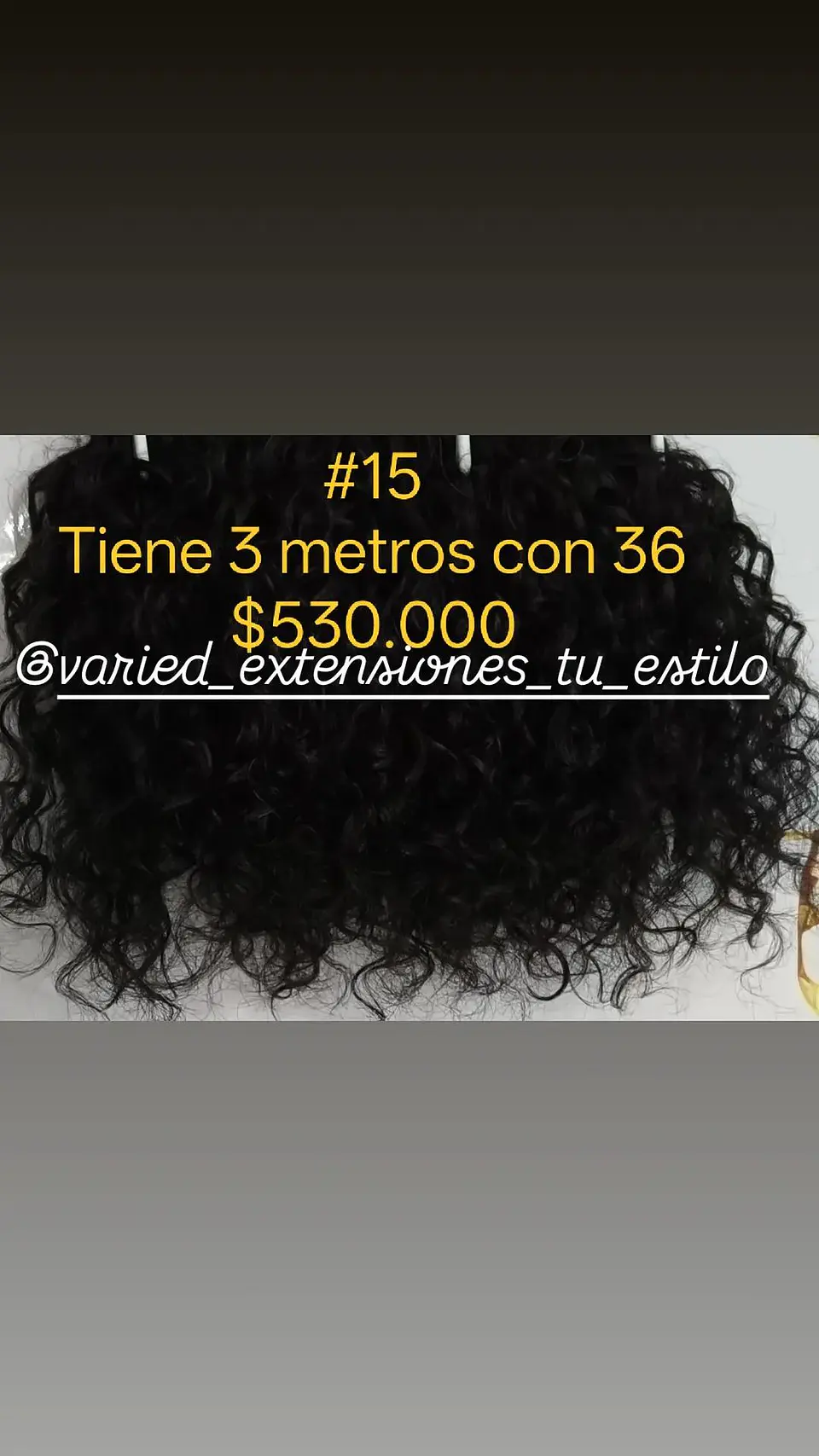 Extensión #15 1