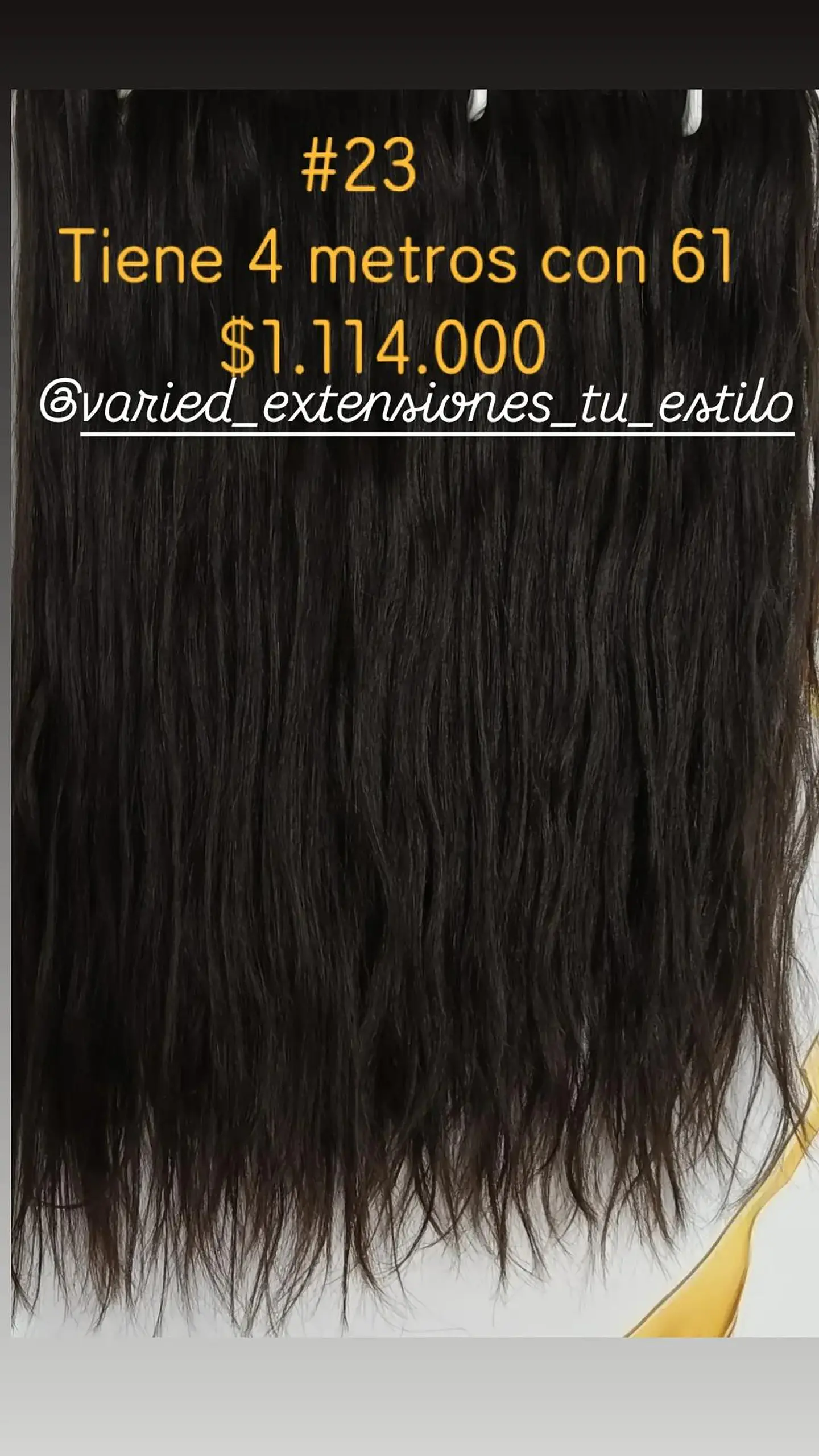 Extensión #23 1