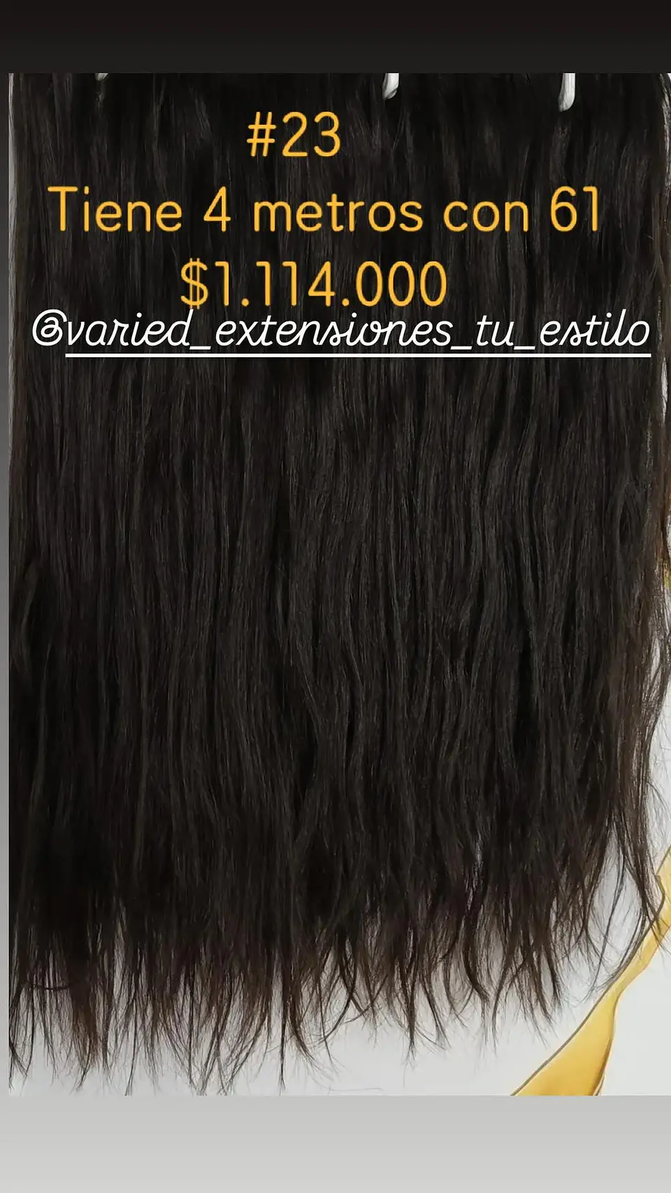 Extensión #23 1