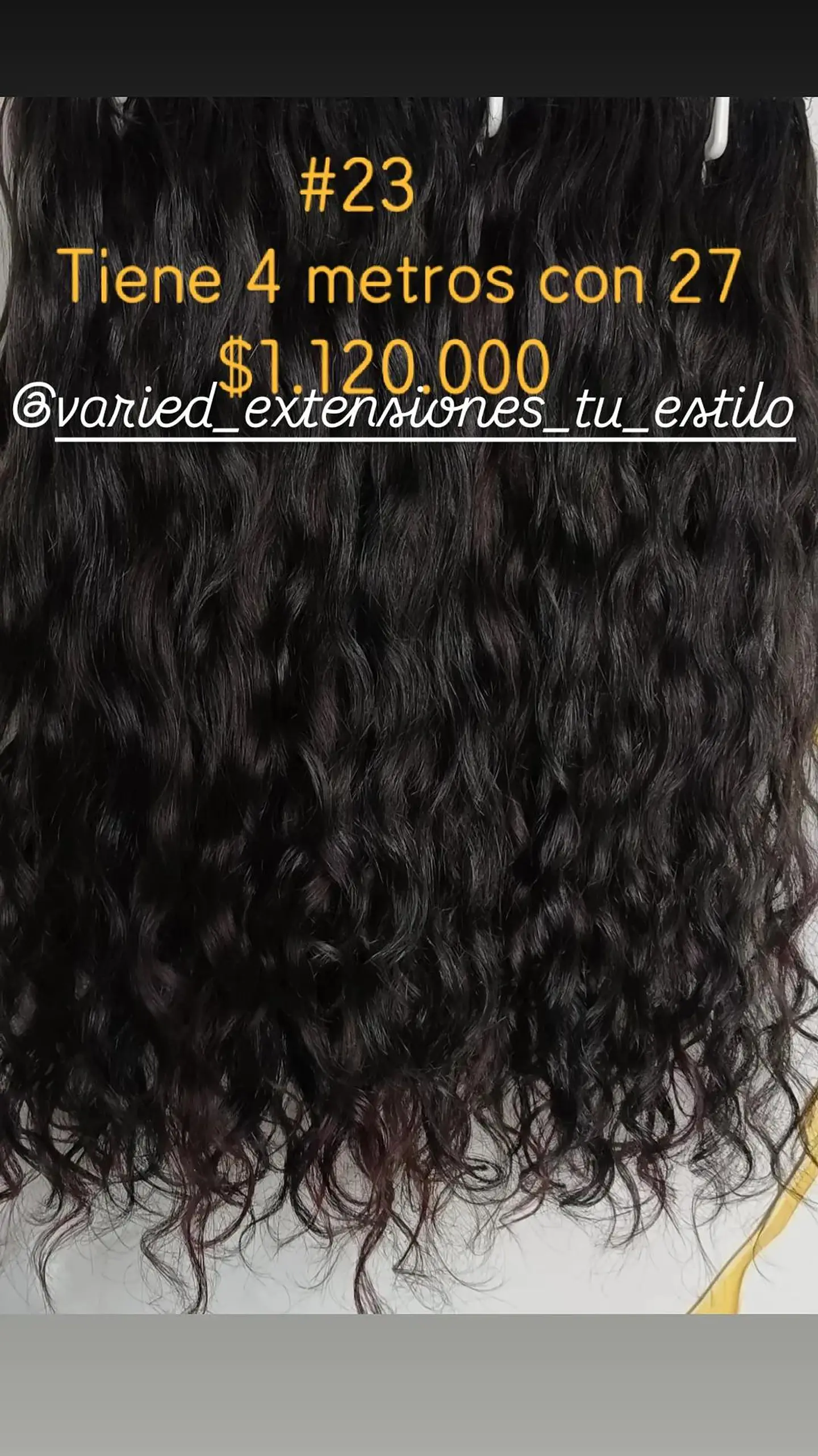 Extensión #23 1