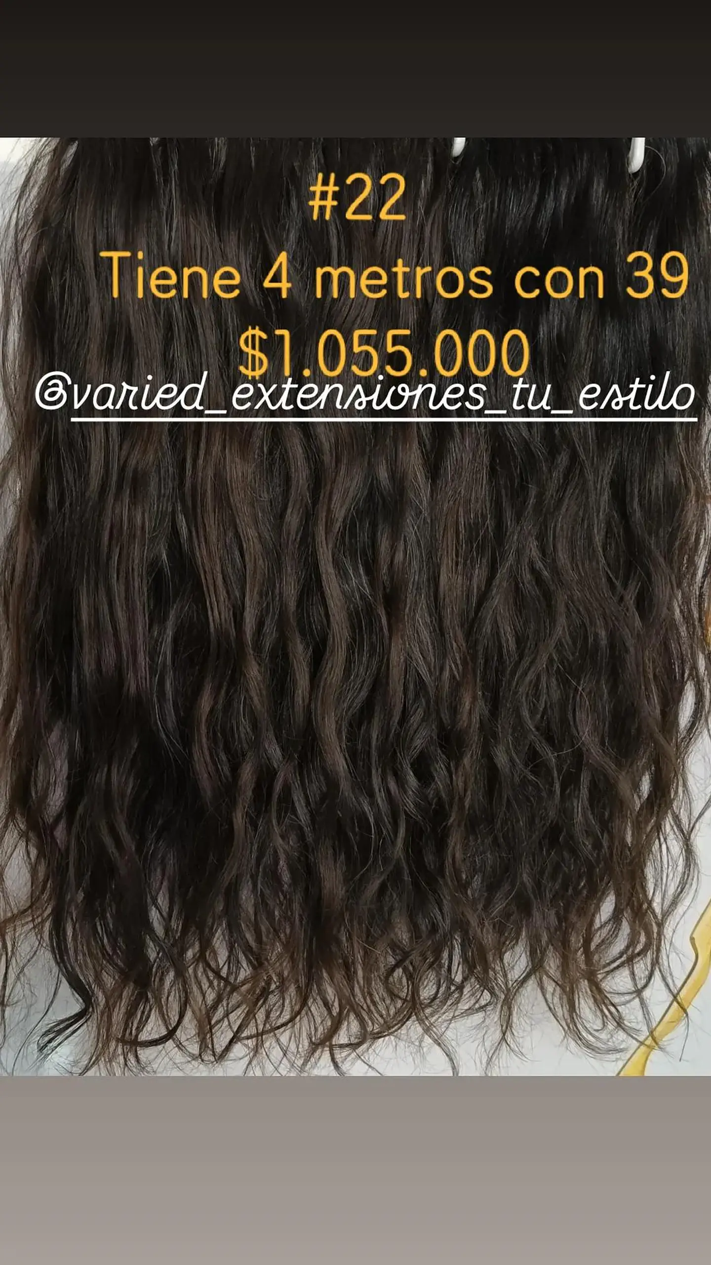 Extensión #22 1