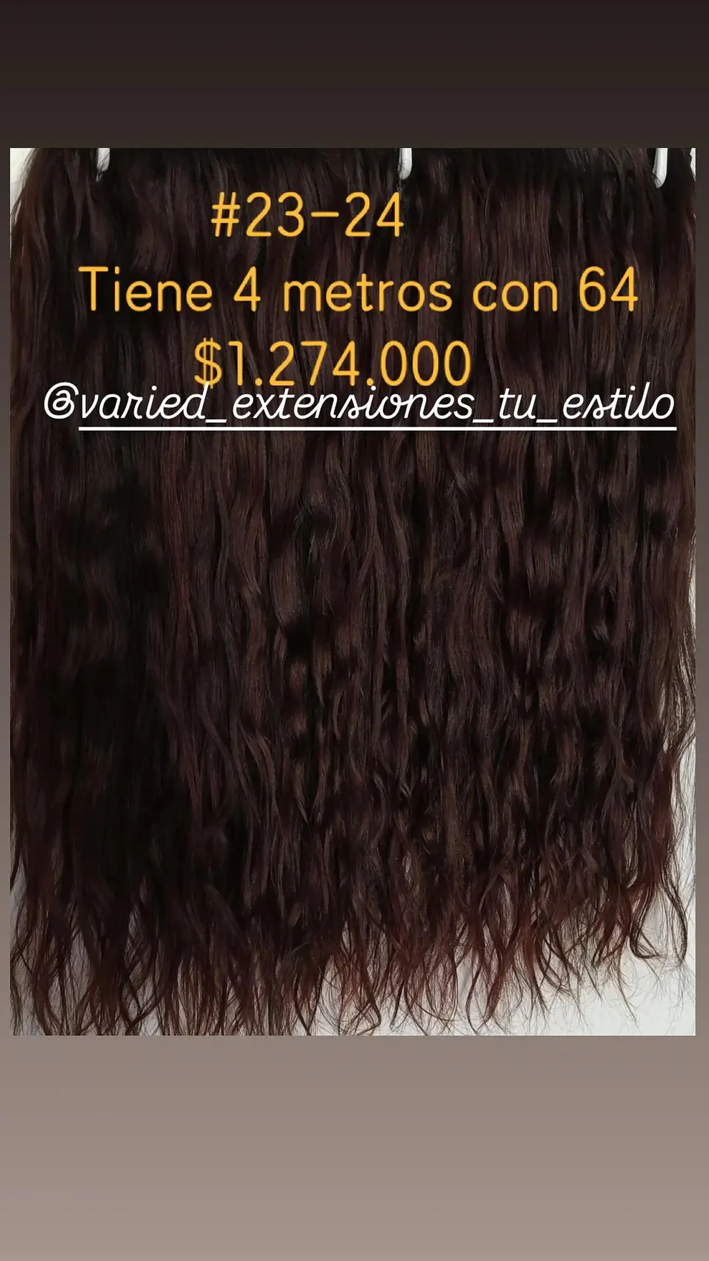 Extensión #23-24 1