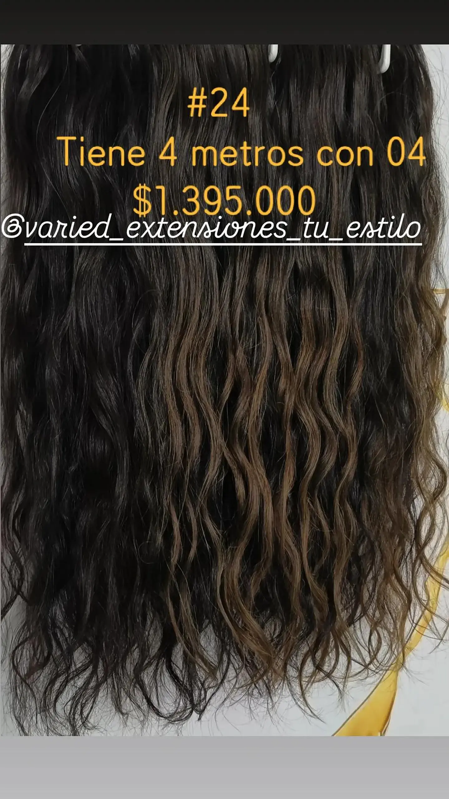 Extensión #24 1