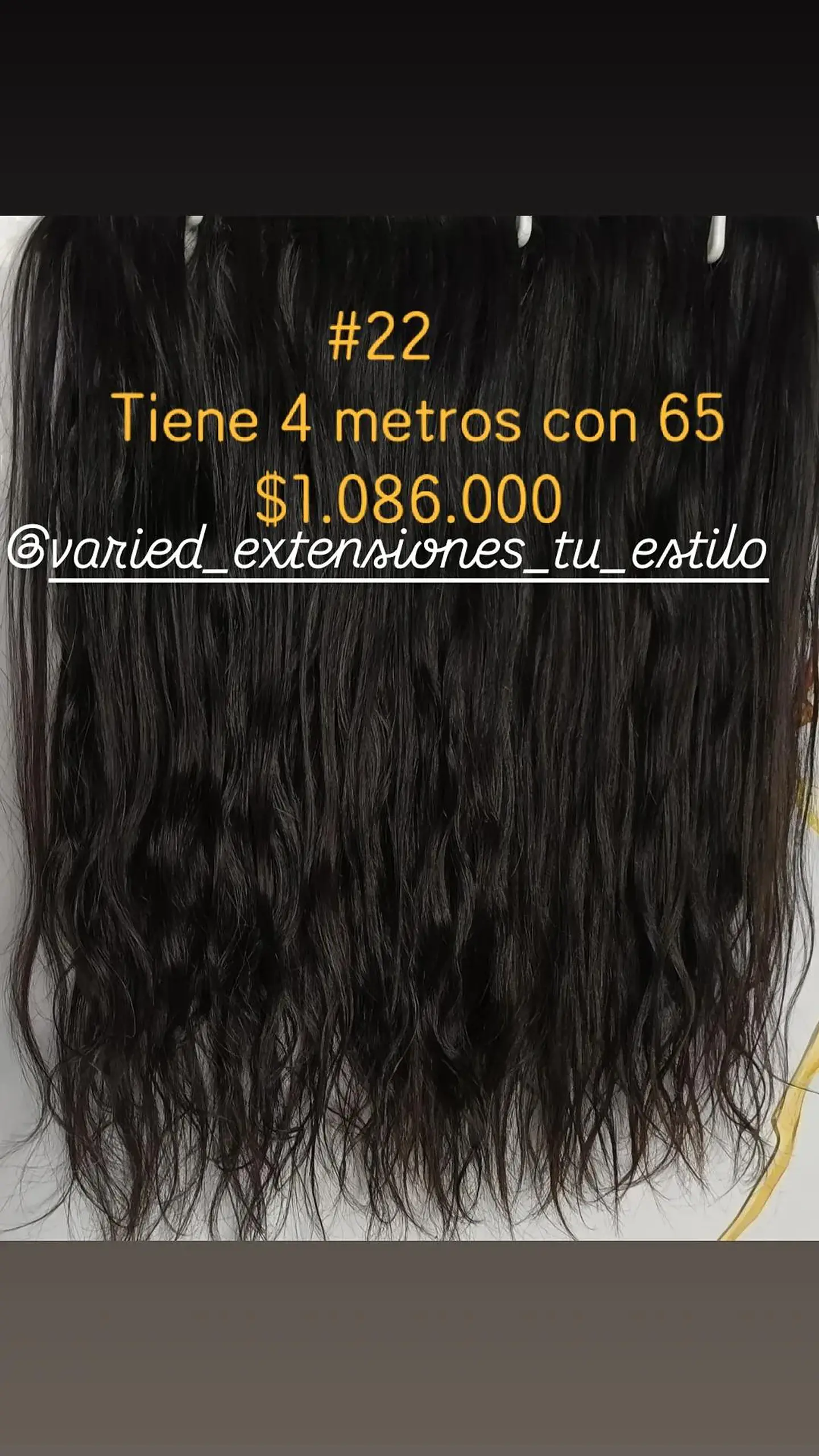 Extensión #22 1