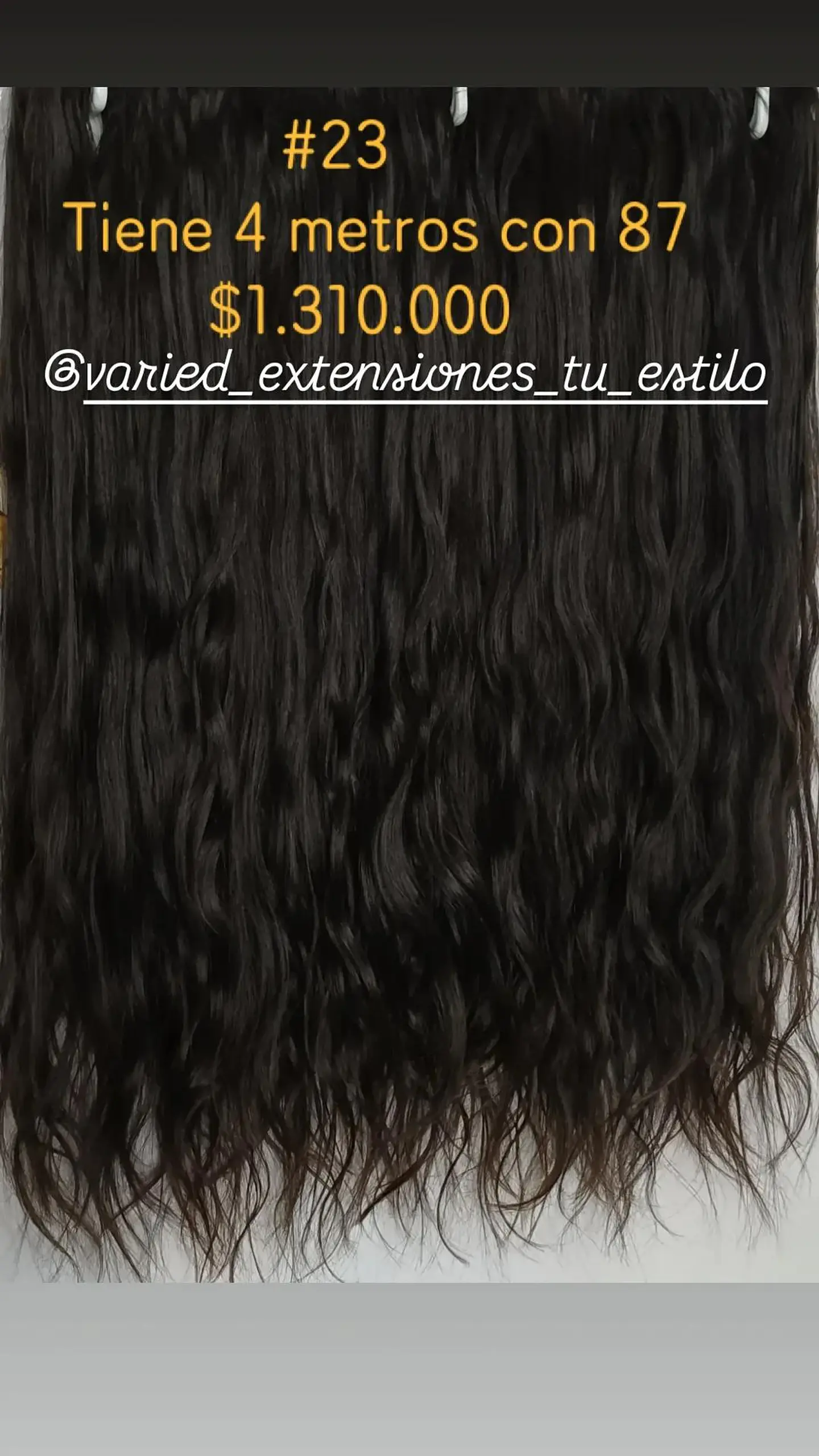Extensión #23 1