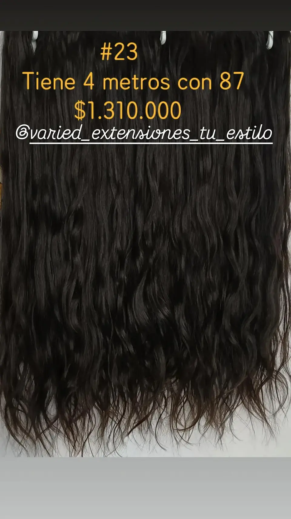 Extensión #23 1