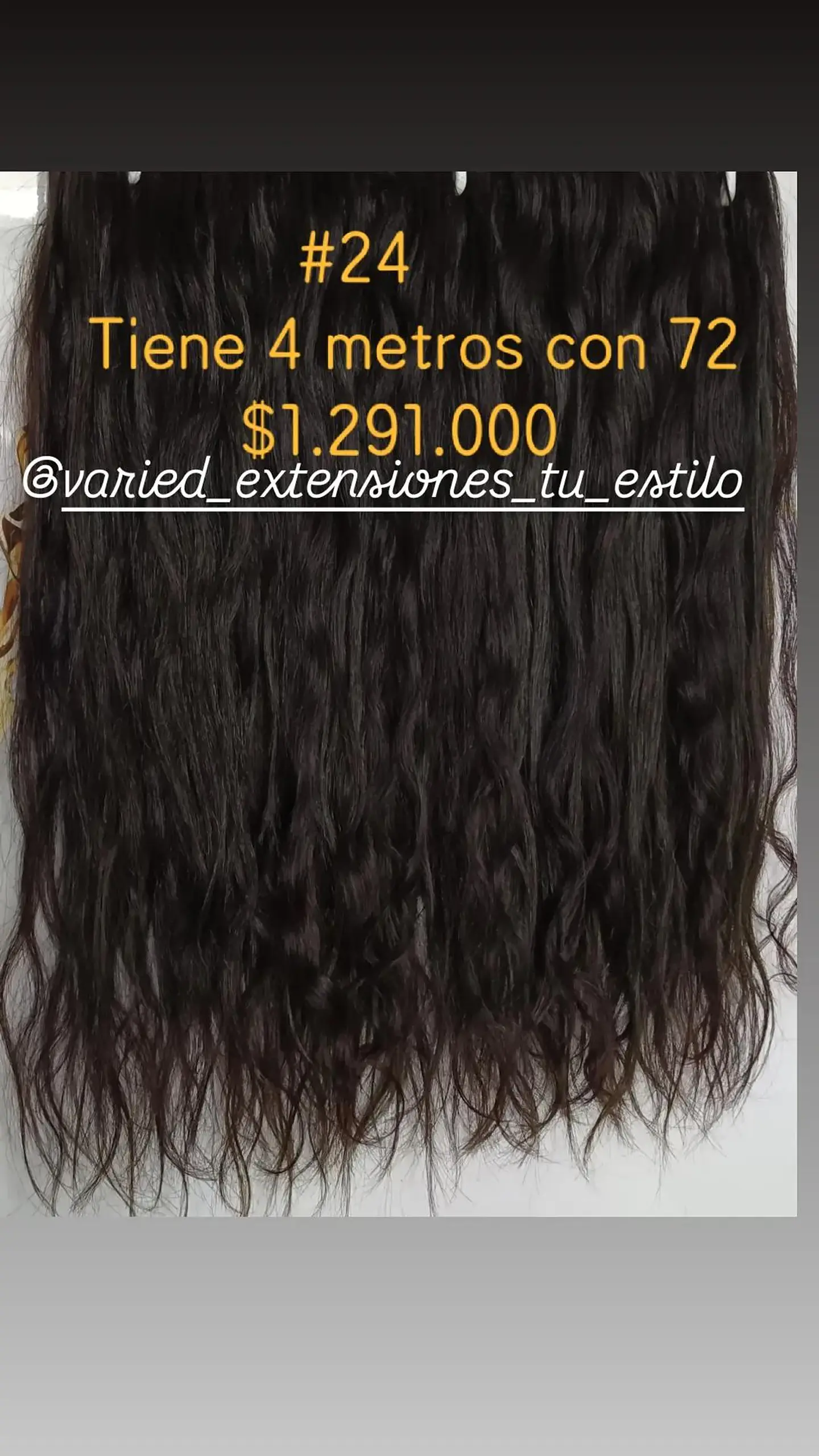 Extensión #24 1