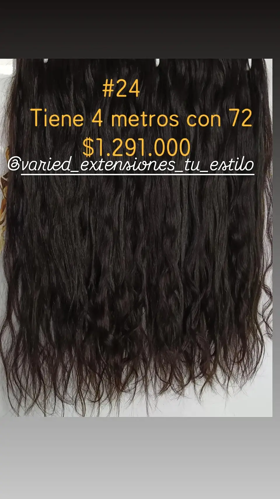 Extensión #24 1