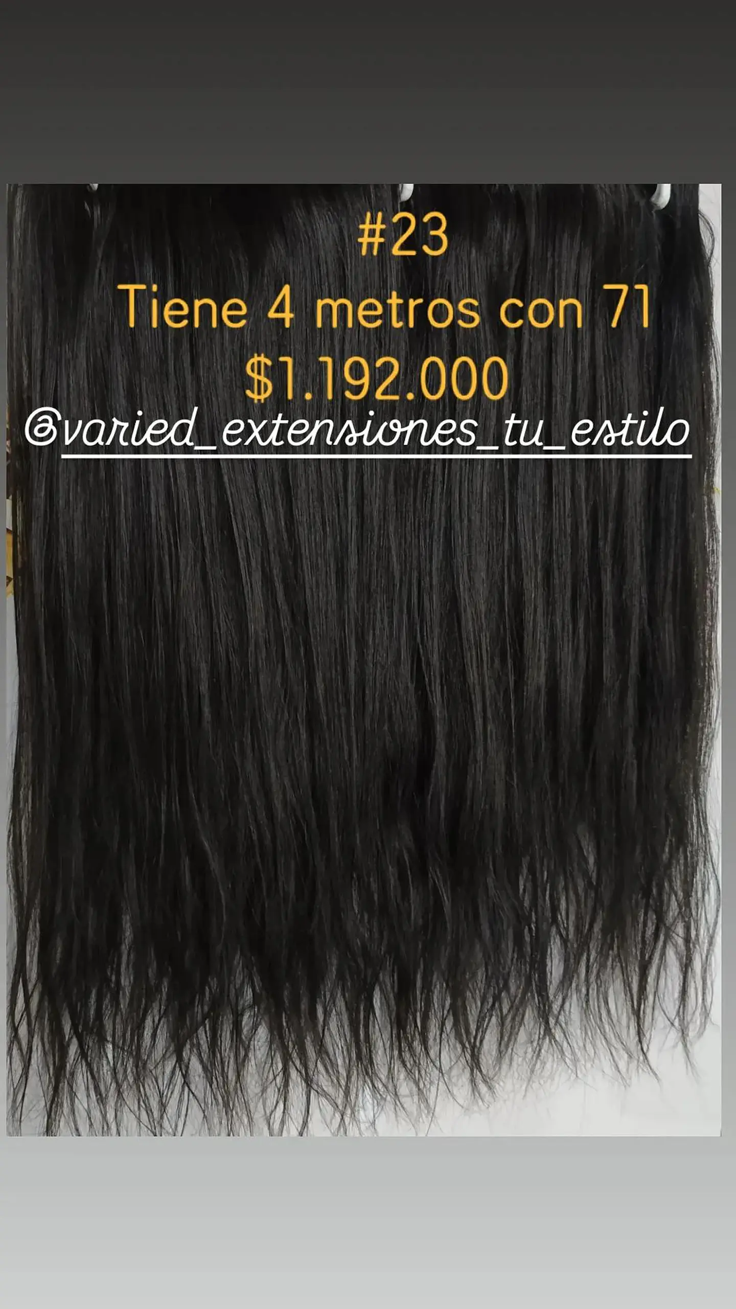 Extensión #23 1