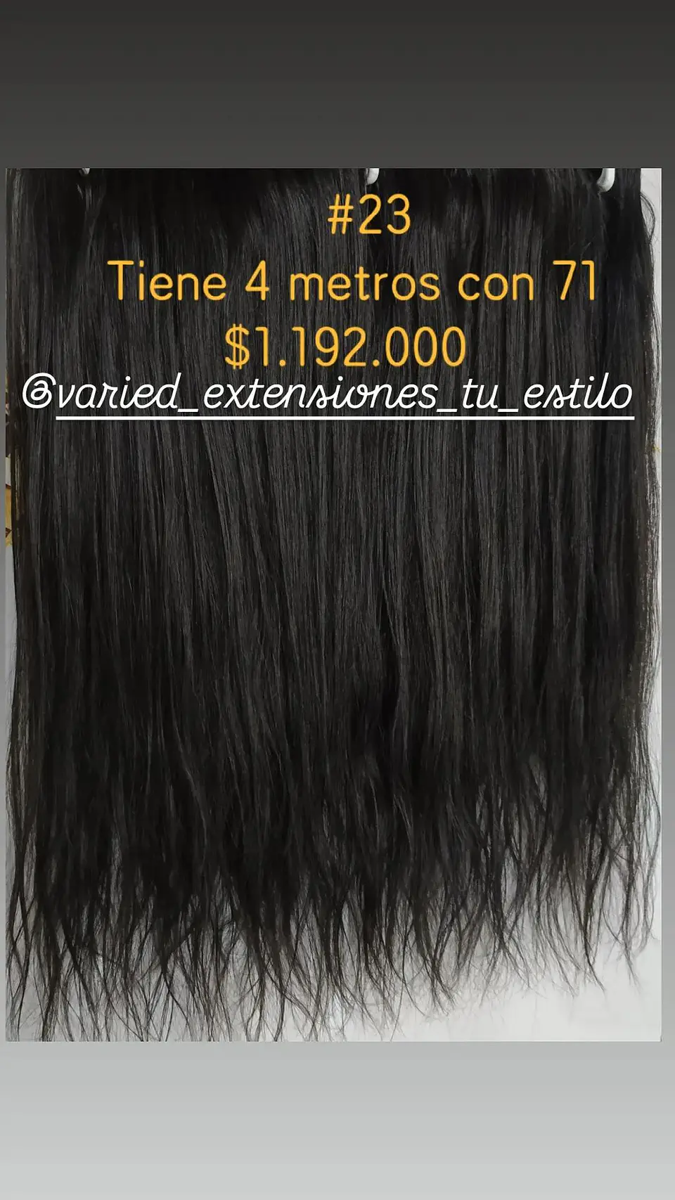 Extensión #23 1