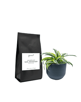Houseplant SOIL BOOSTER Refill Bag 1L