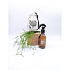 Houseplant MISTER 500ml