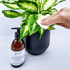 Houseplant LEAF CLEANSER - Sabão de azeite