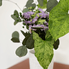 Plant Bouquet Mojito