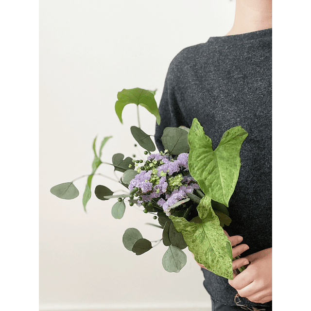 Plant Bouquet Mojito